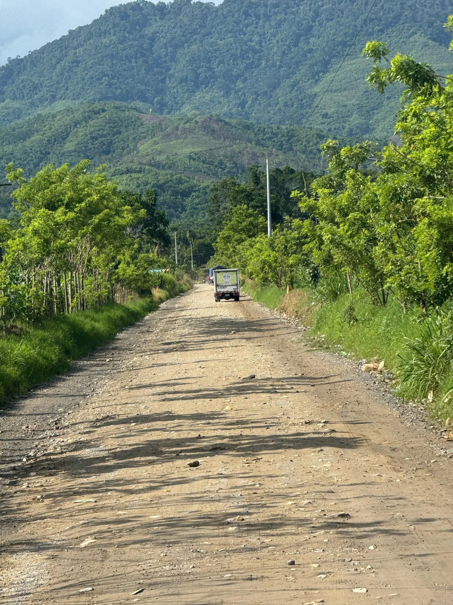 Dirt road with green trees on both sides, mountains in the background, and a small truck traveling on the road during daytime.