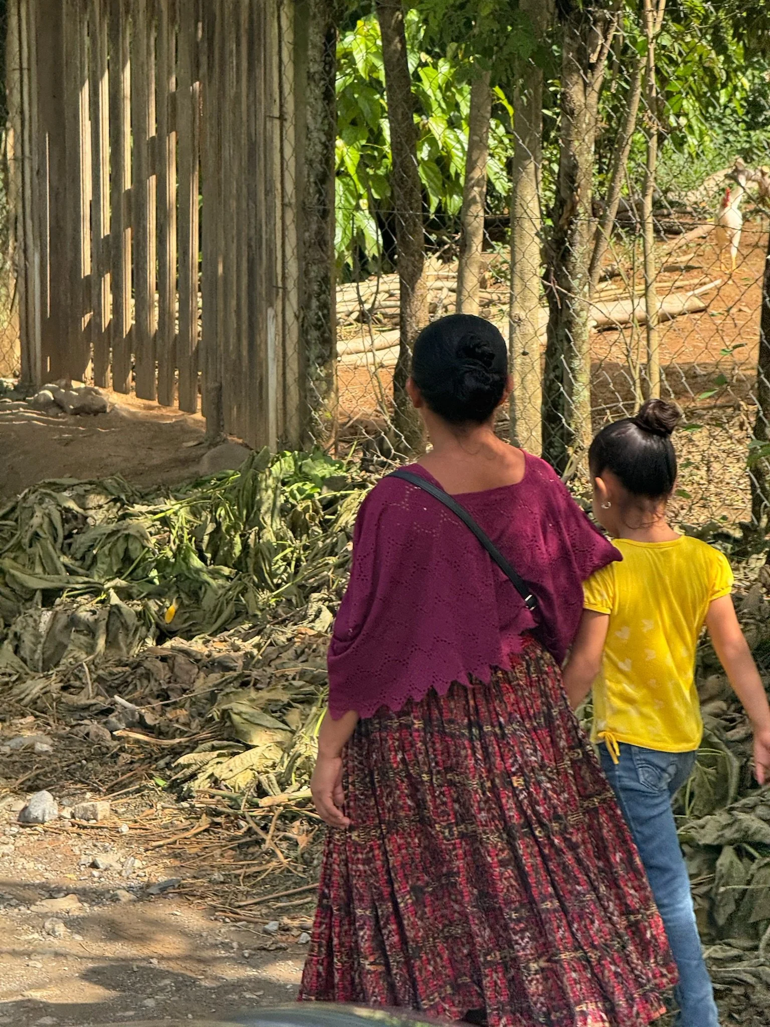 Two women walking outdoors near a fenced area with trees and animal enclosures, one young girl is wearing a yellow shirt and the other woman is dressed in traditional clothing.