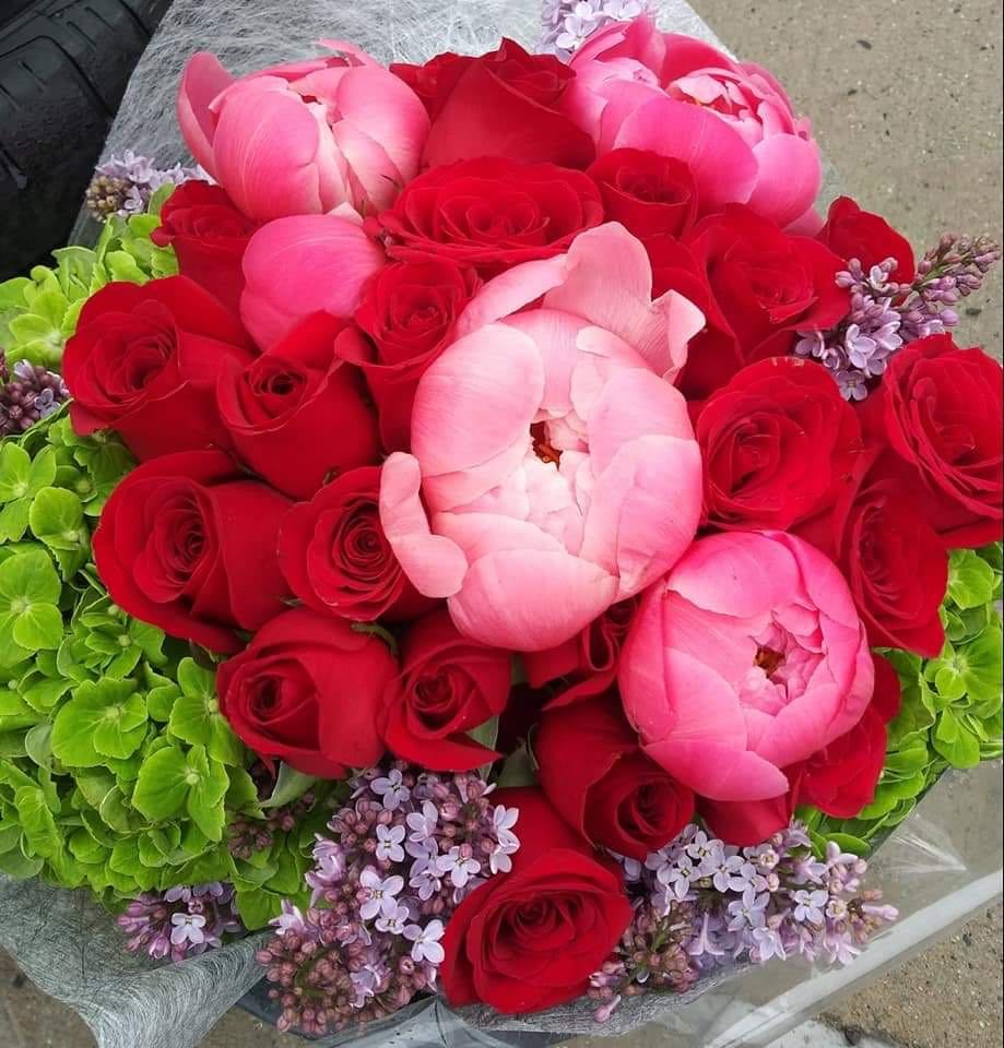 Peony Bliss
