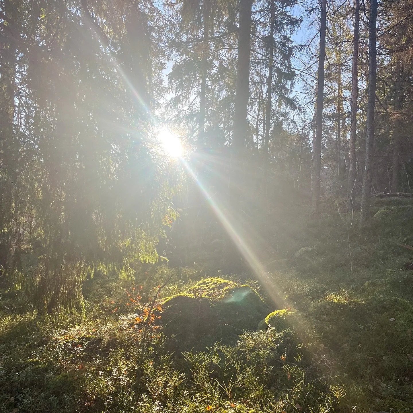 just keep looking for light.