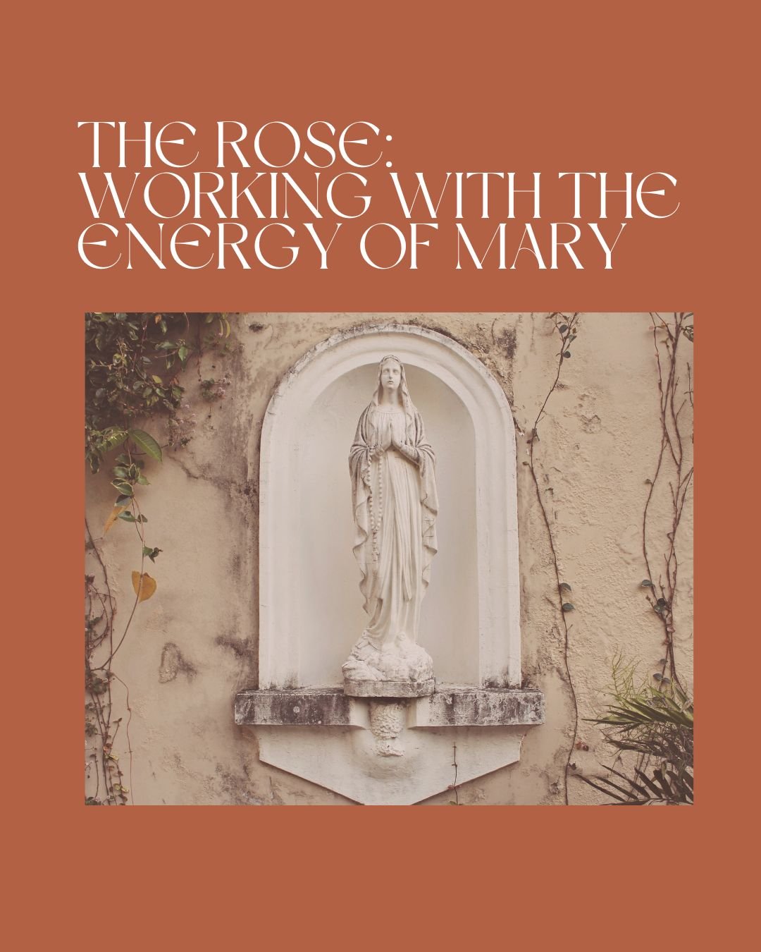 The Rose: Working With the Energy of Mary
