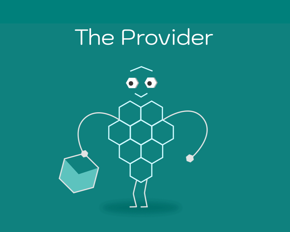 Provider.gif