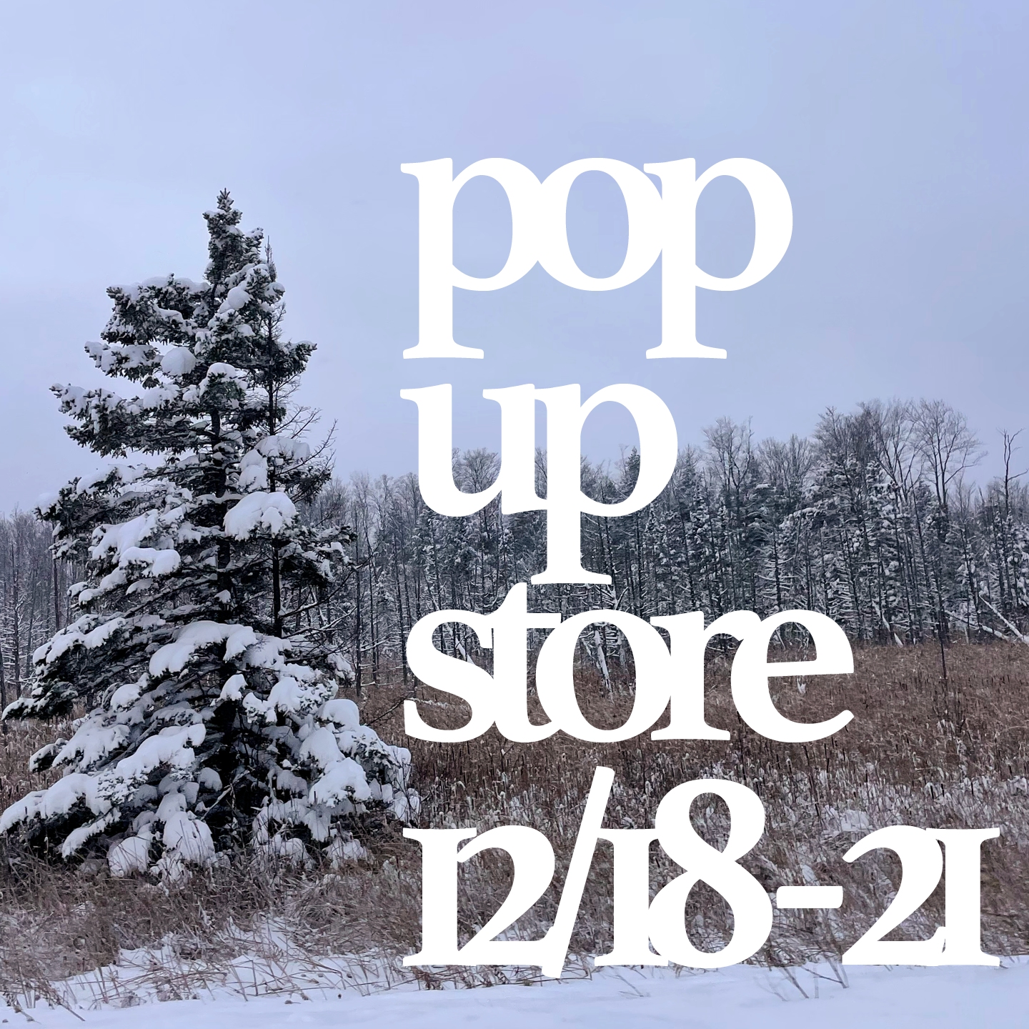 pop-up-store.png