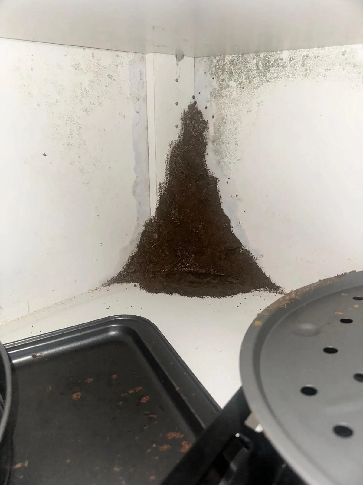 Extensive termite mudding discovered inside a property during a professional termite inspection