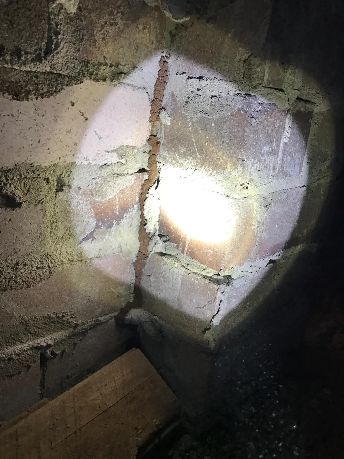 Termite mudding discovered on brickwork during a termite inspection in Sydney