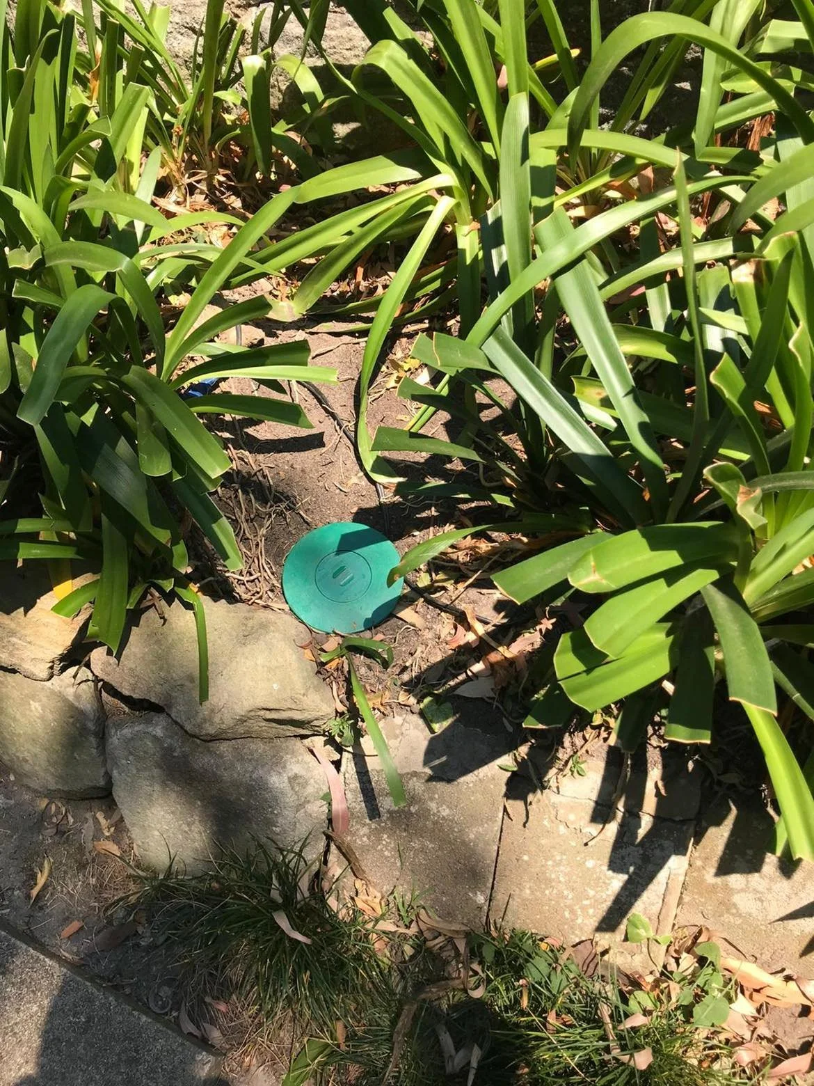 In-ground termite baiting and monitoring station installed around a property