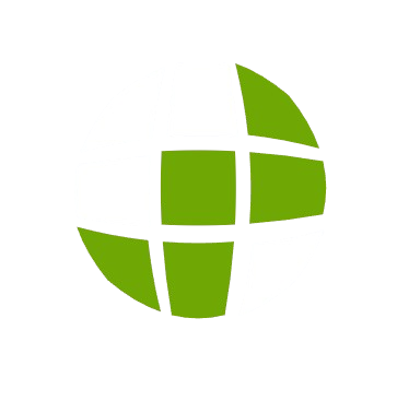 custom website design service