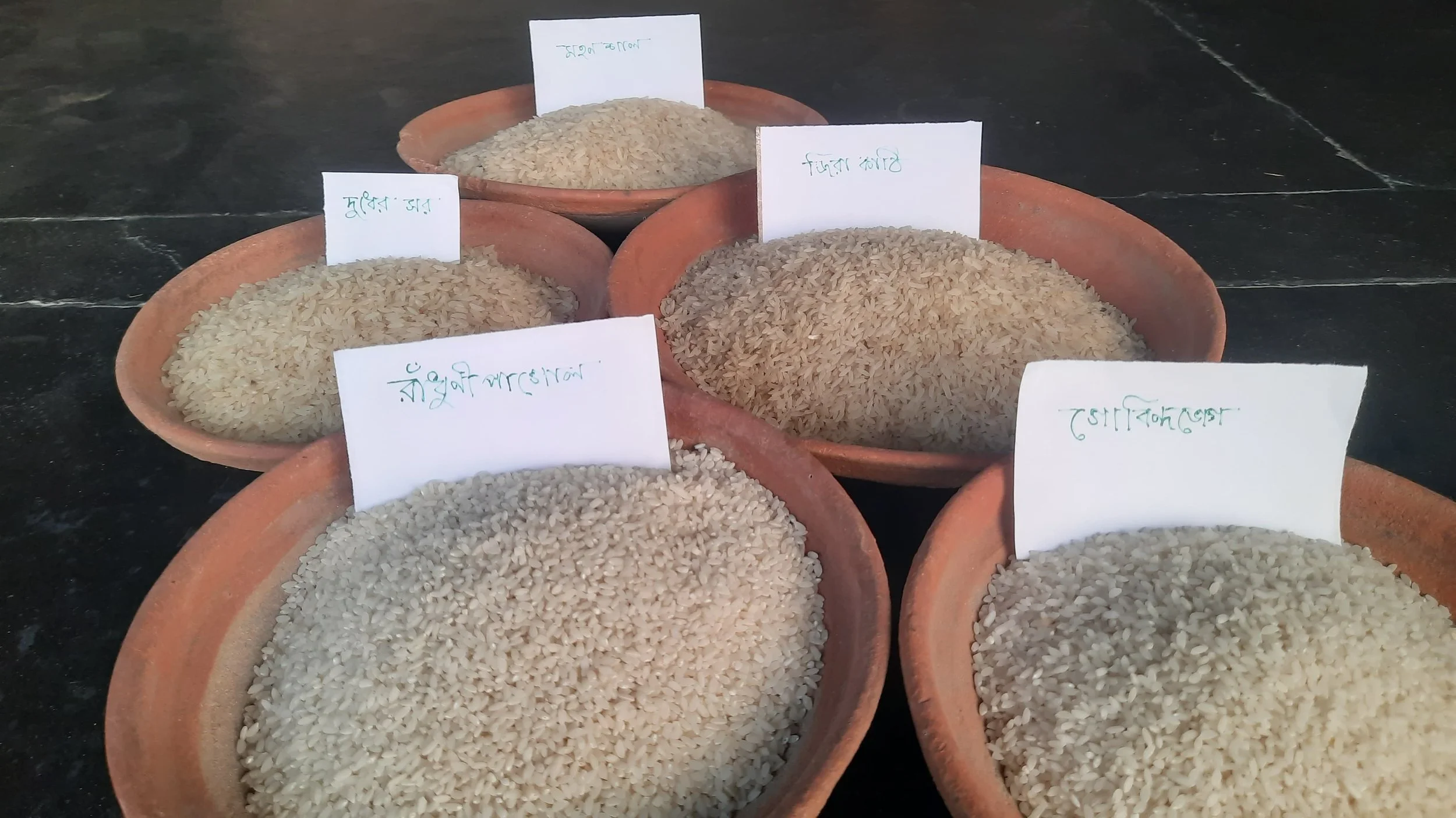 Varieties of aromatic and parboiled rice