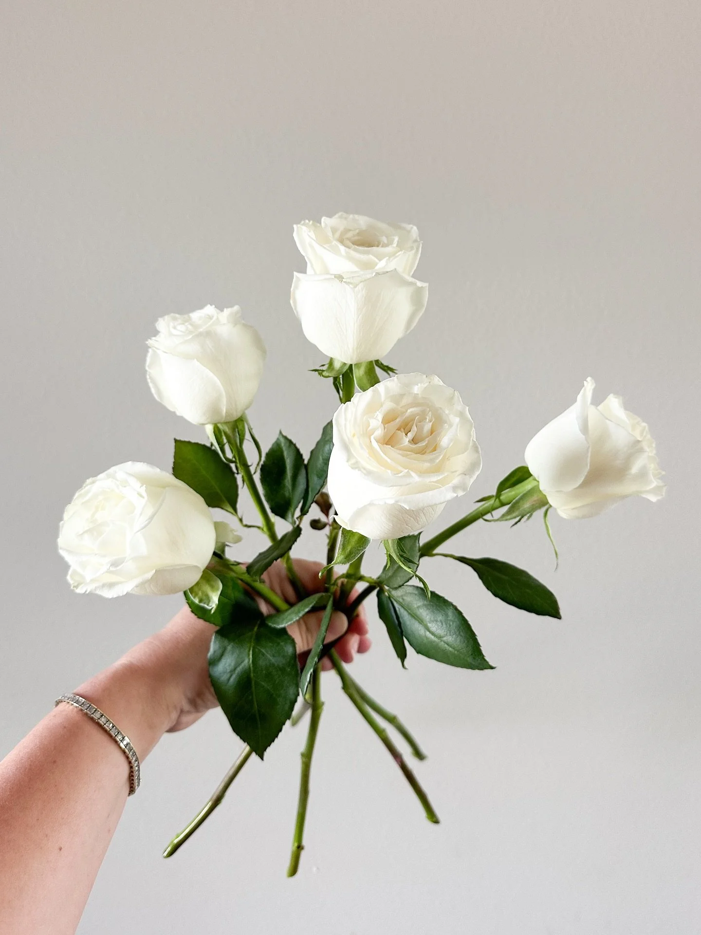 What is your favorite white rose? Playa Blanca photo 1 or Tibet photo 2. #whiteroses #weddingflowers #whitewedding #iowaflorist #iowawedding #playablancaroses #tibetroses