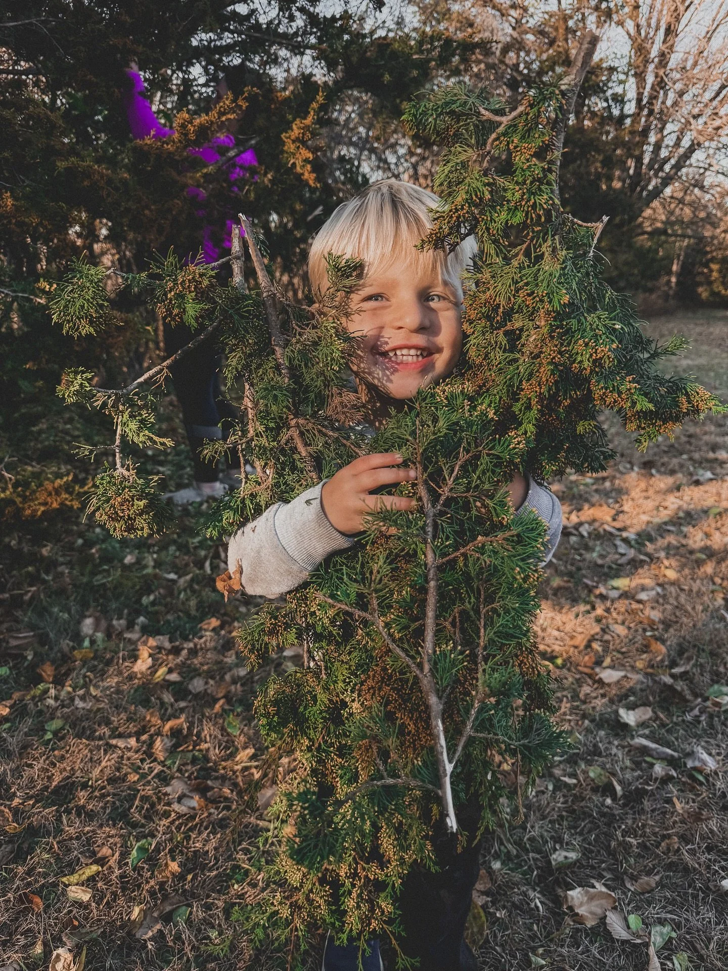 When you ask your sister with 7 kids to go out and harvest greenery&hellip; she grabs the stroller and my mom with the littles. I mean how cute! Greenery for wreaths, compotes, planters, and workshops!