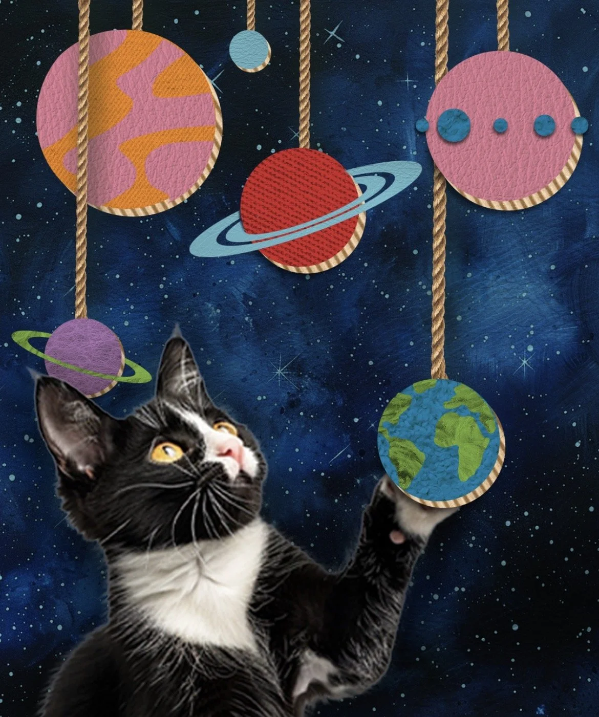 World's Best Cat Litter