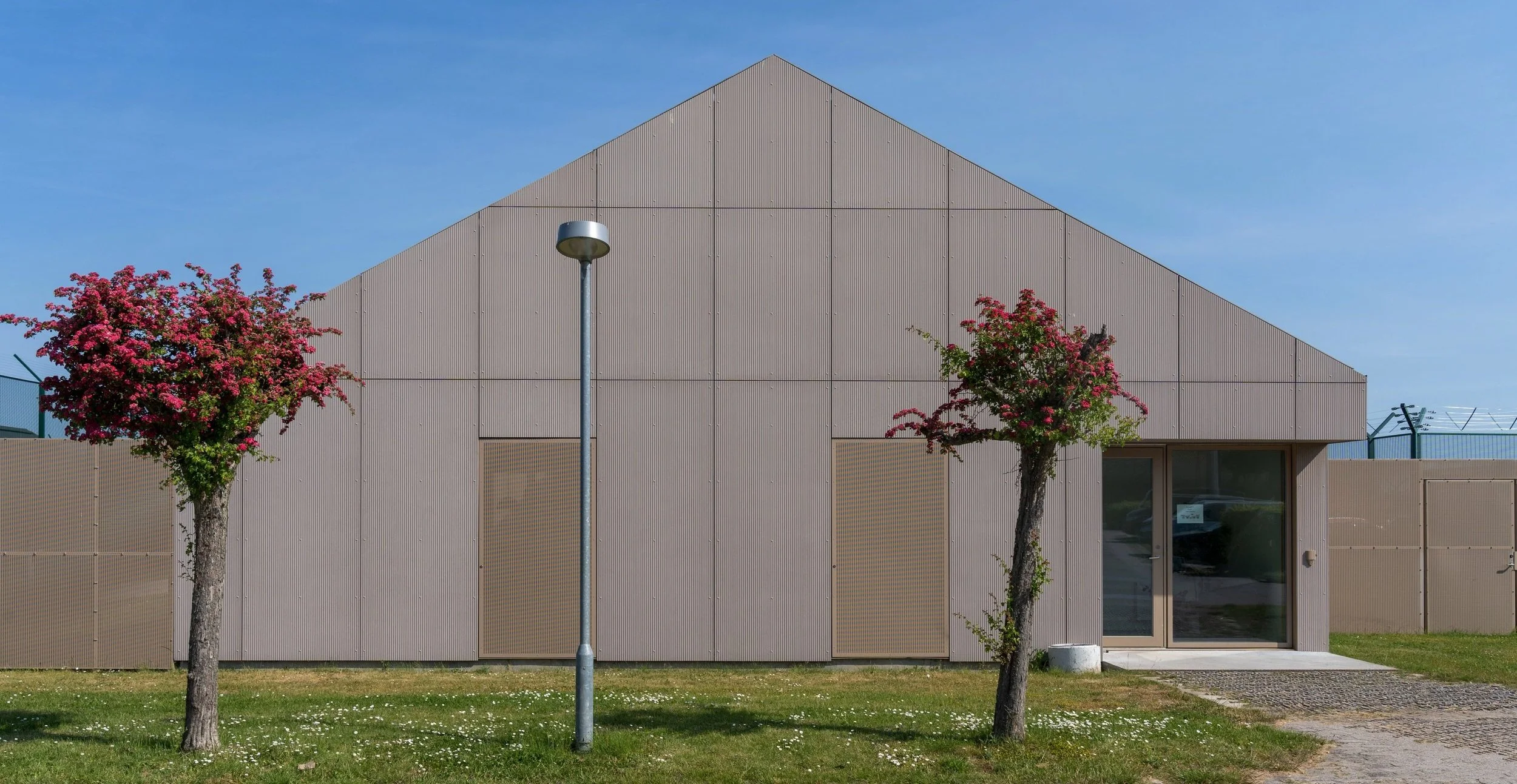 Modern beige building with triangular roof, two flowering trees, a streetlamp, and a grassy area with small white flowers.