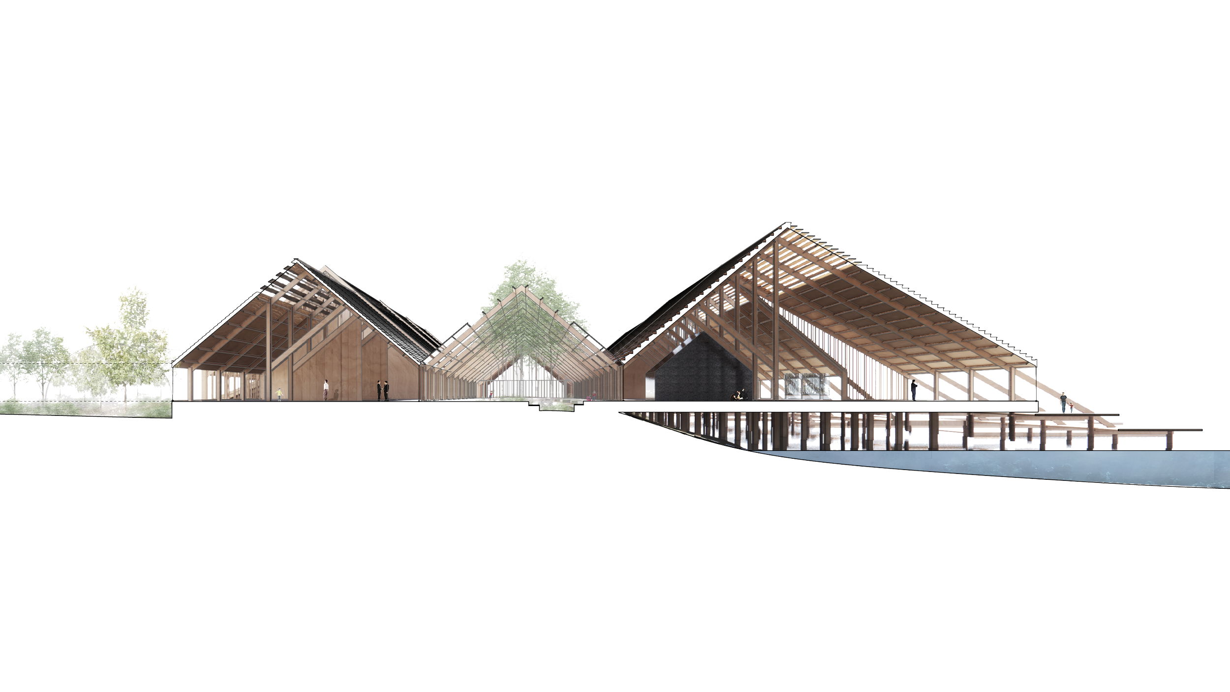 floating-museum-perspective-section.png