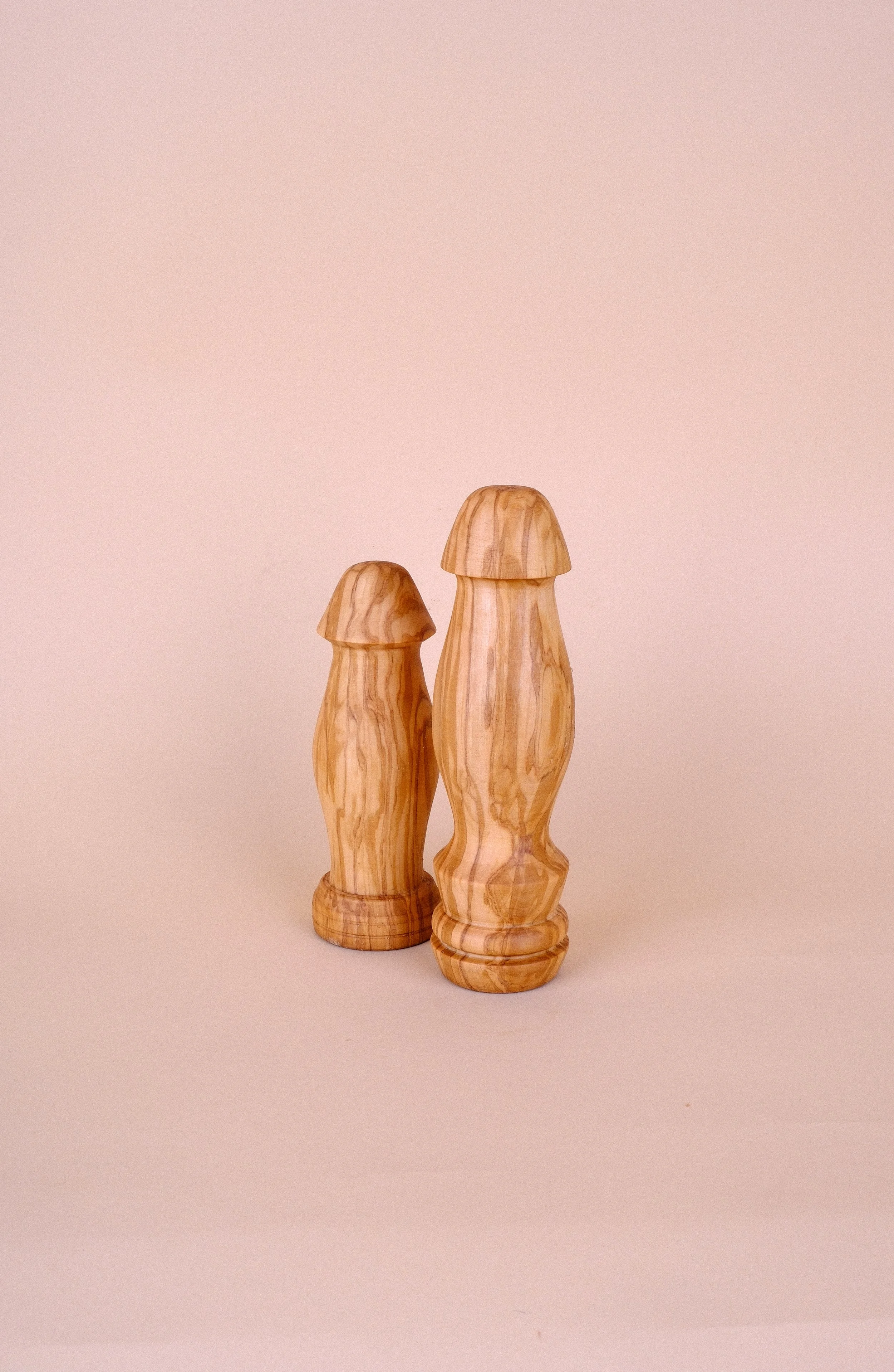 shape0302.jpg