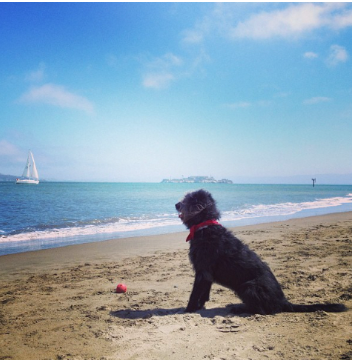 Personal Branding: How to Stand Out in a Competitive Job Market