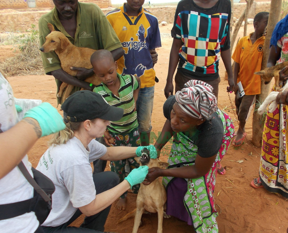 One of our partner organizations, Vet Treks, examining community members' pets
