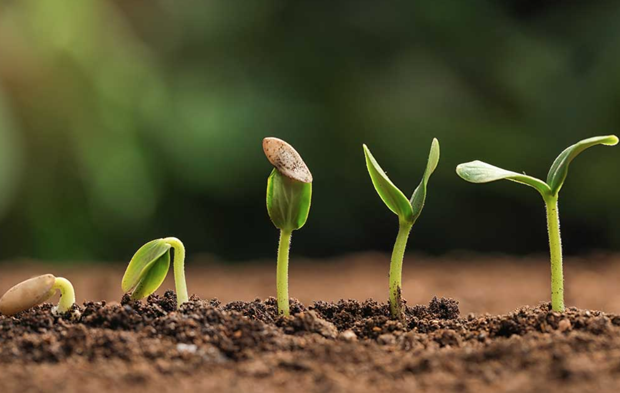 “Everything I do is vanity if it does not outlive me”… : Lessons in managing ego in our attempt to make a difference