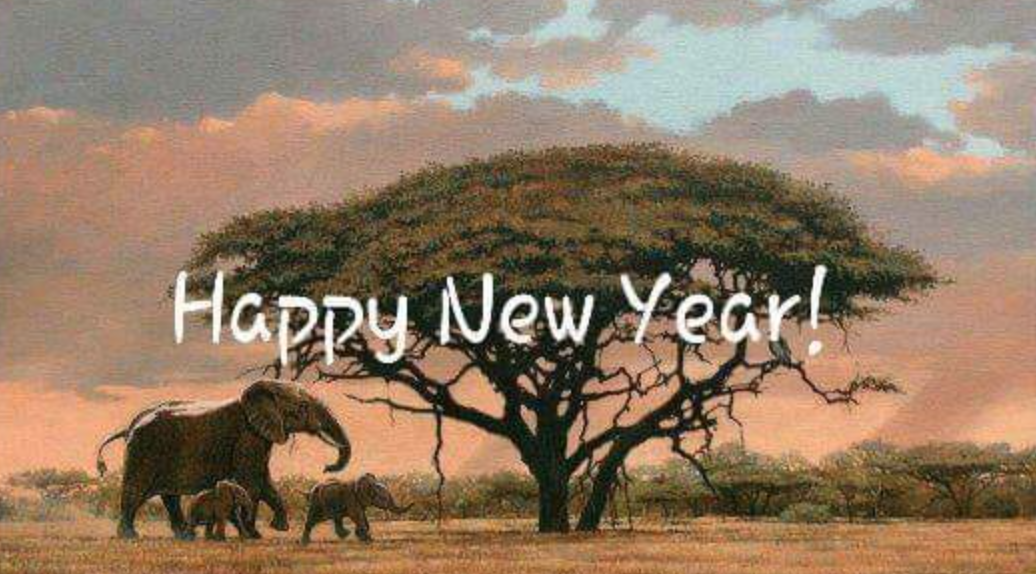 Celebrating One Year of Human-Animal Coexistence: Working Towards A Foundation for A Shared Future