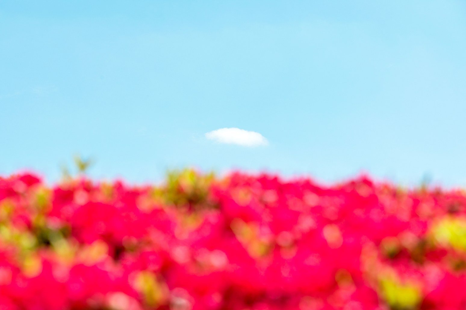 The Fragility of Abundance: Remembering Why We Celebrate the Cyclicity of Seasons