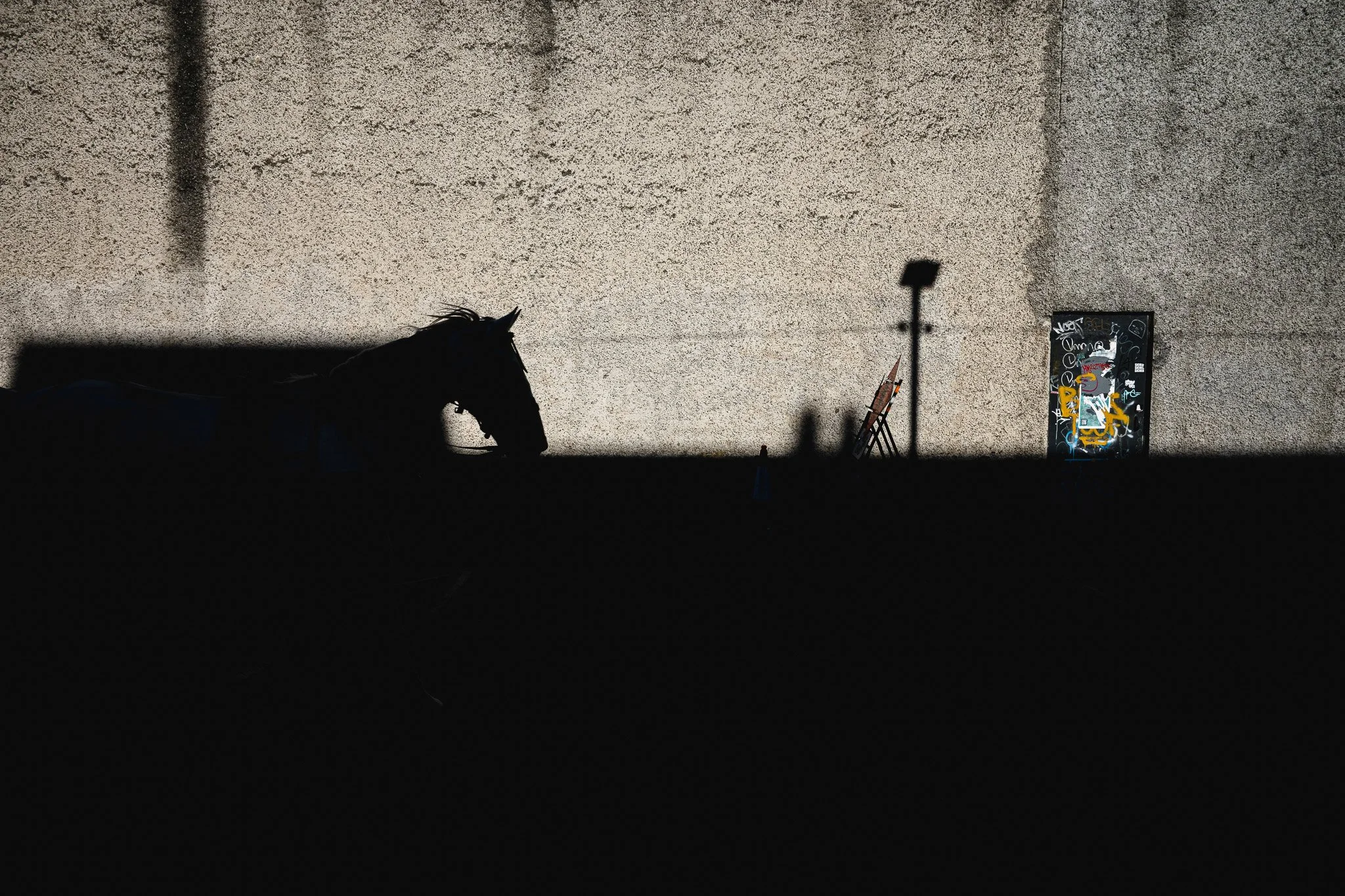 DSC_3290.jpg