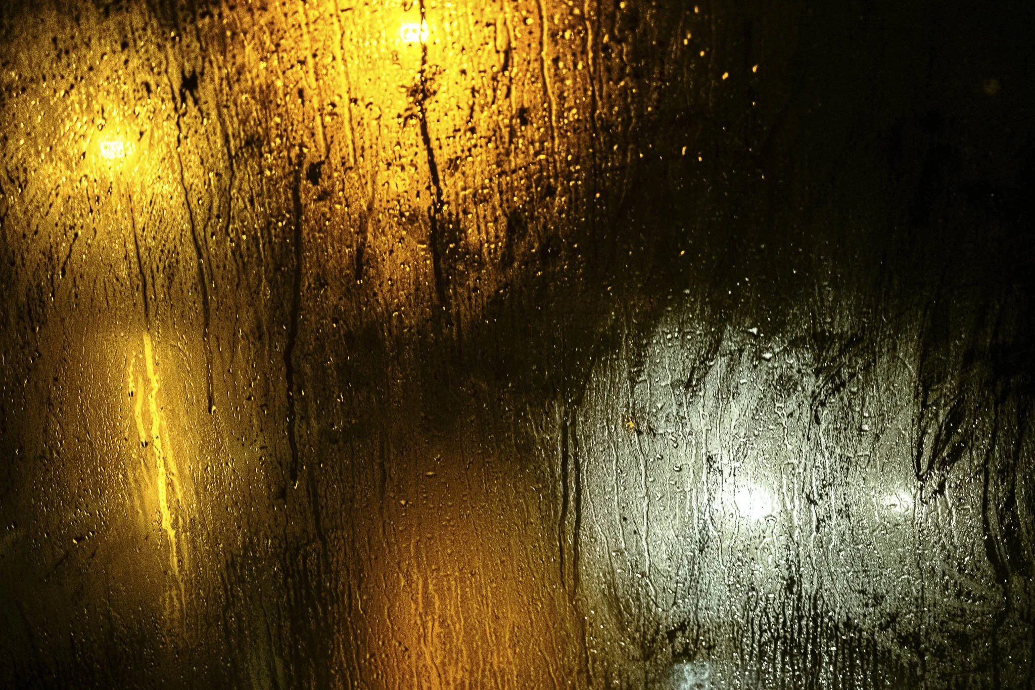 DSCF0794.jpg