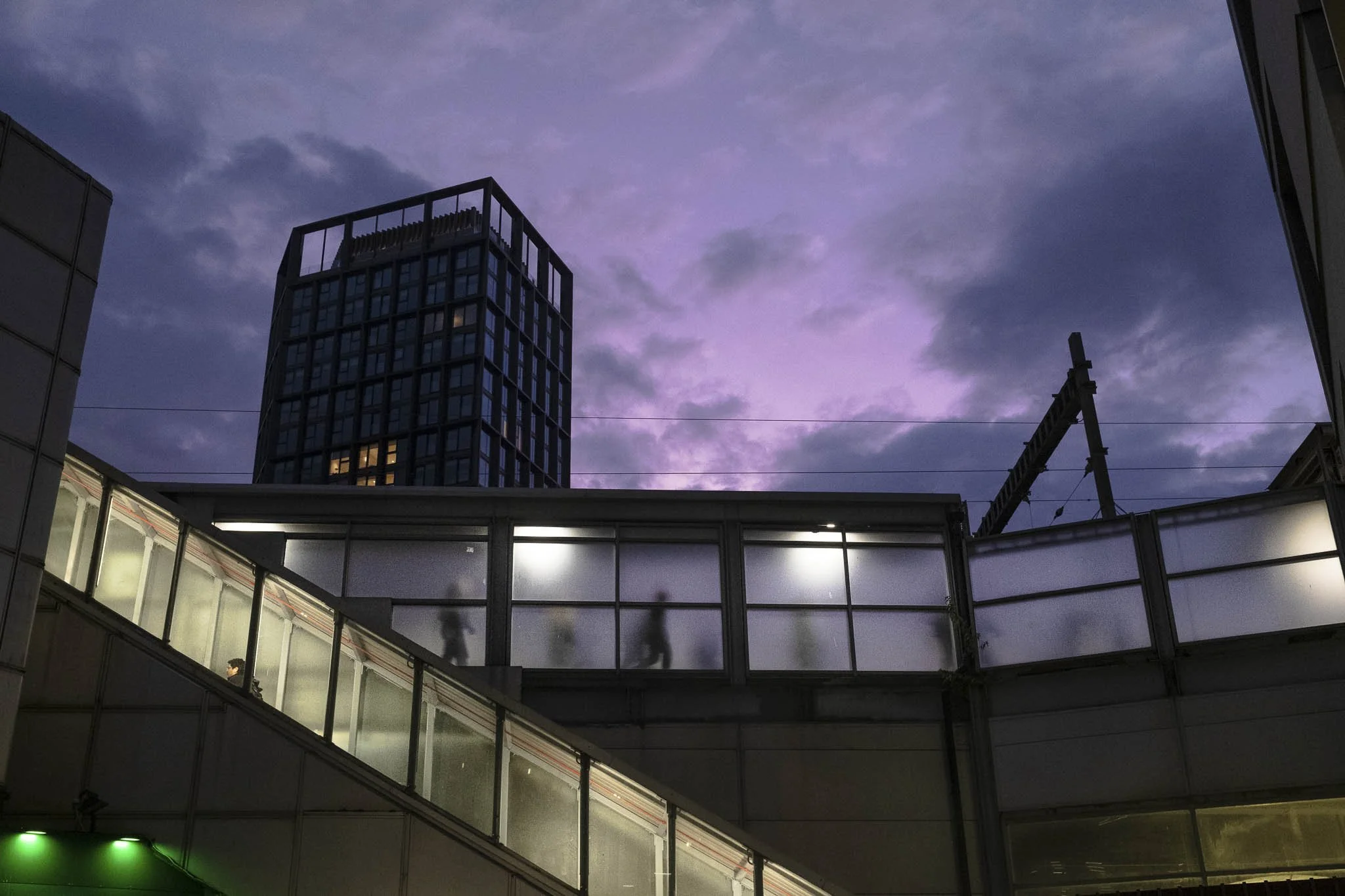 DSCF8305.jpg