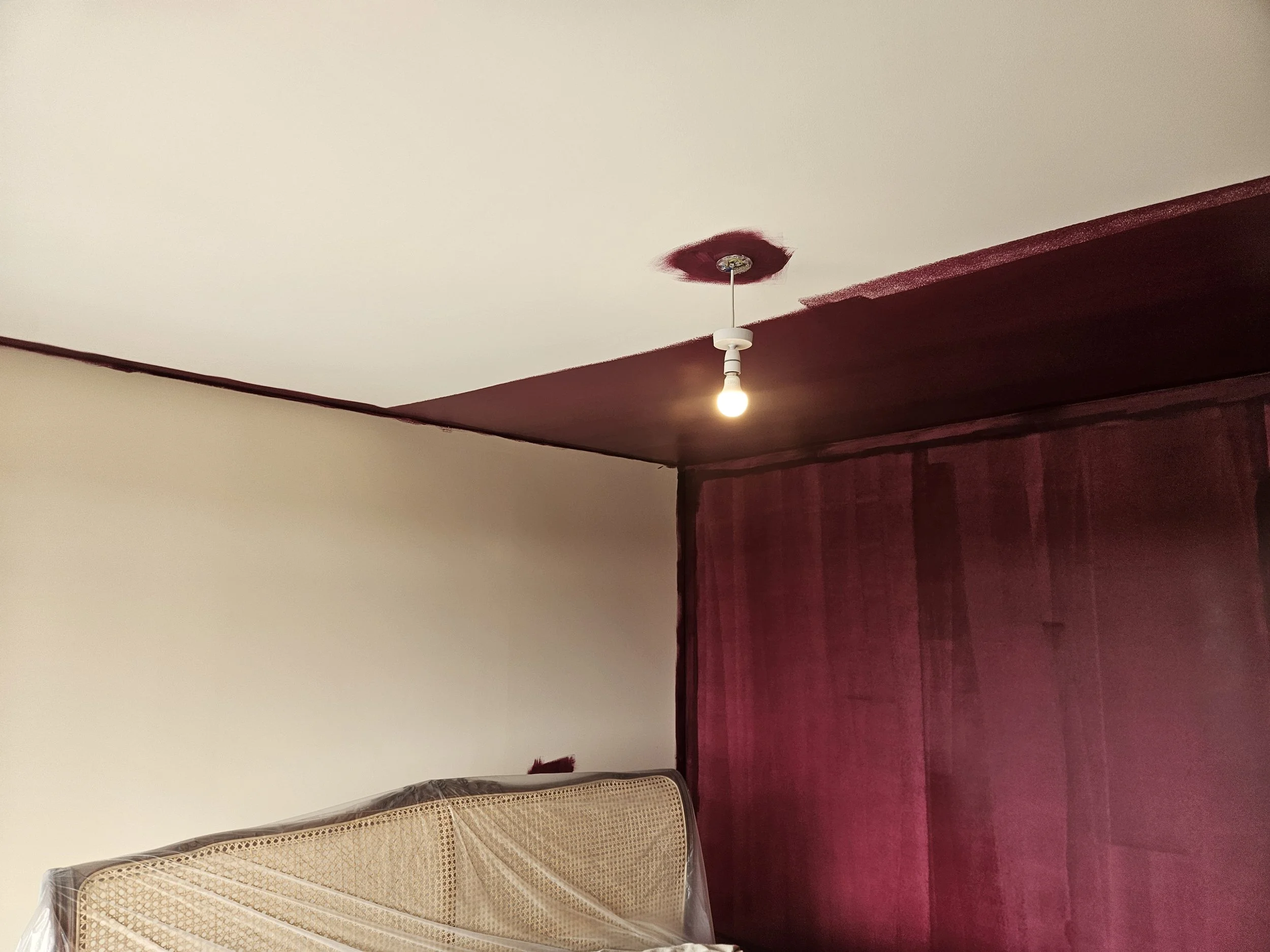 20250310_115717 - Copy - Copy.jpg