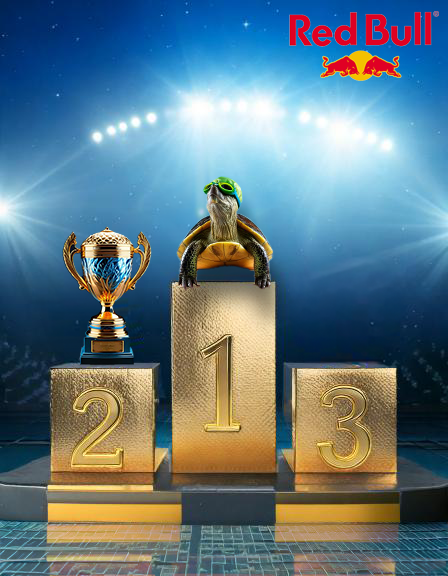 redbullturtle.png