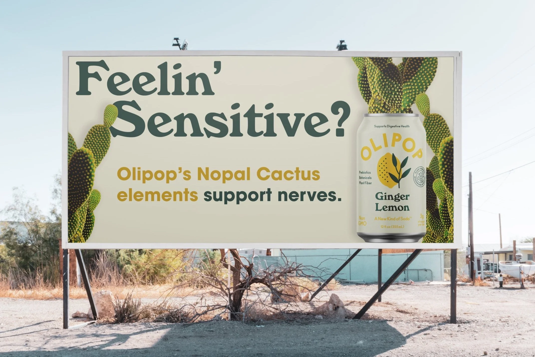 Olipop+Mockup+cactus.jpg