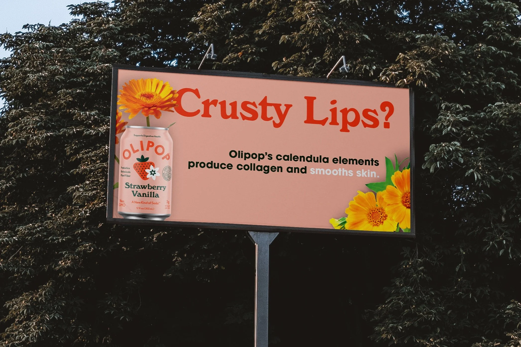 new+calendula+mockup+copy.jpg