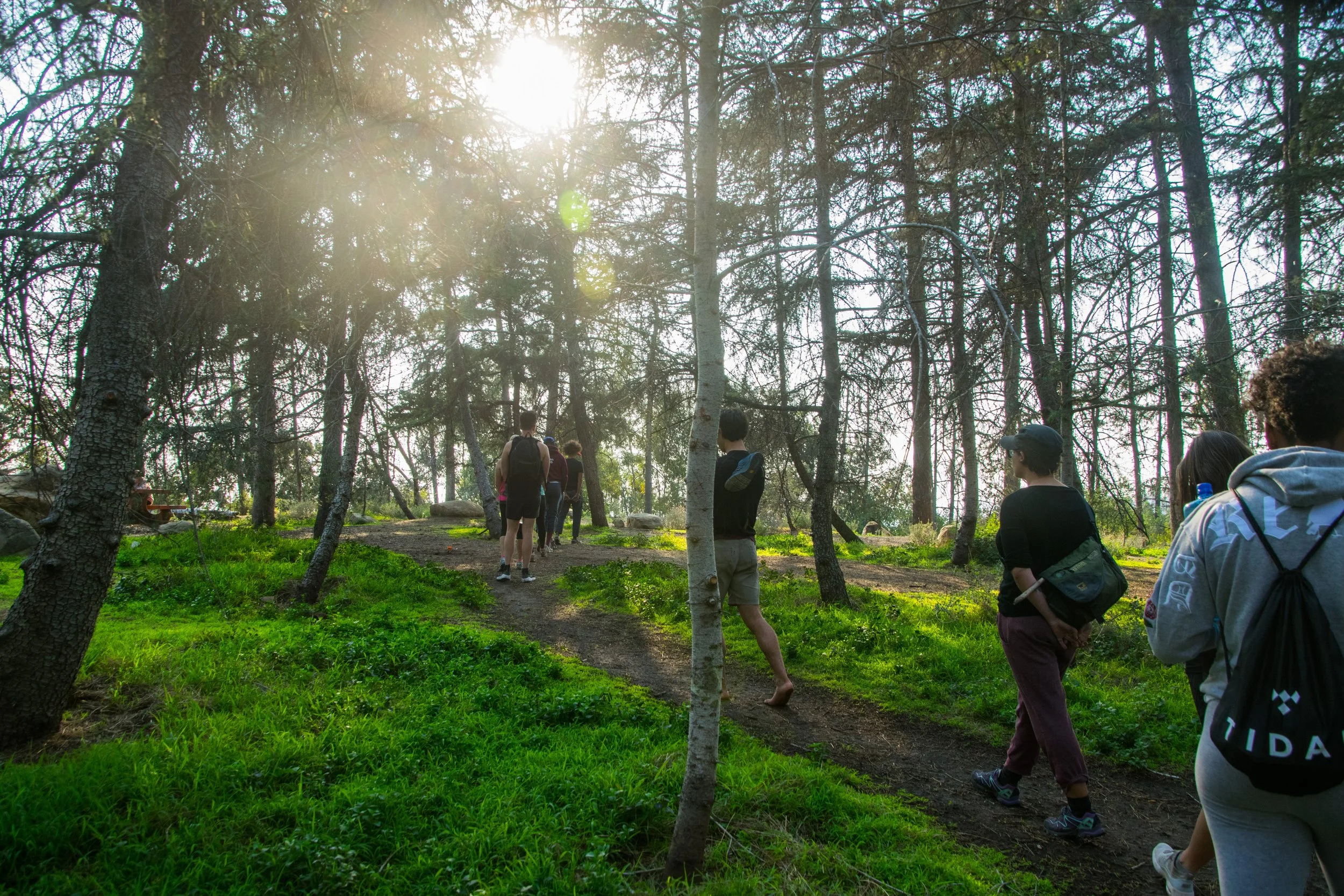 Slow Down Sunday: Forest Bathing & Mandala Making