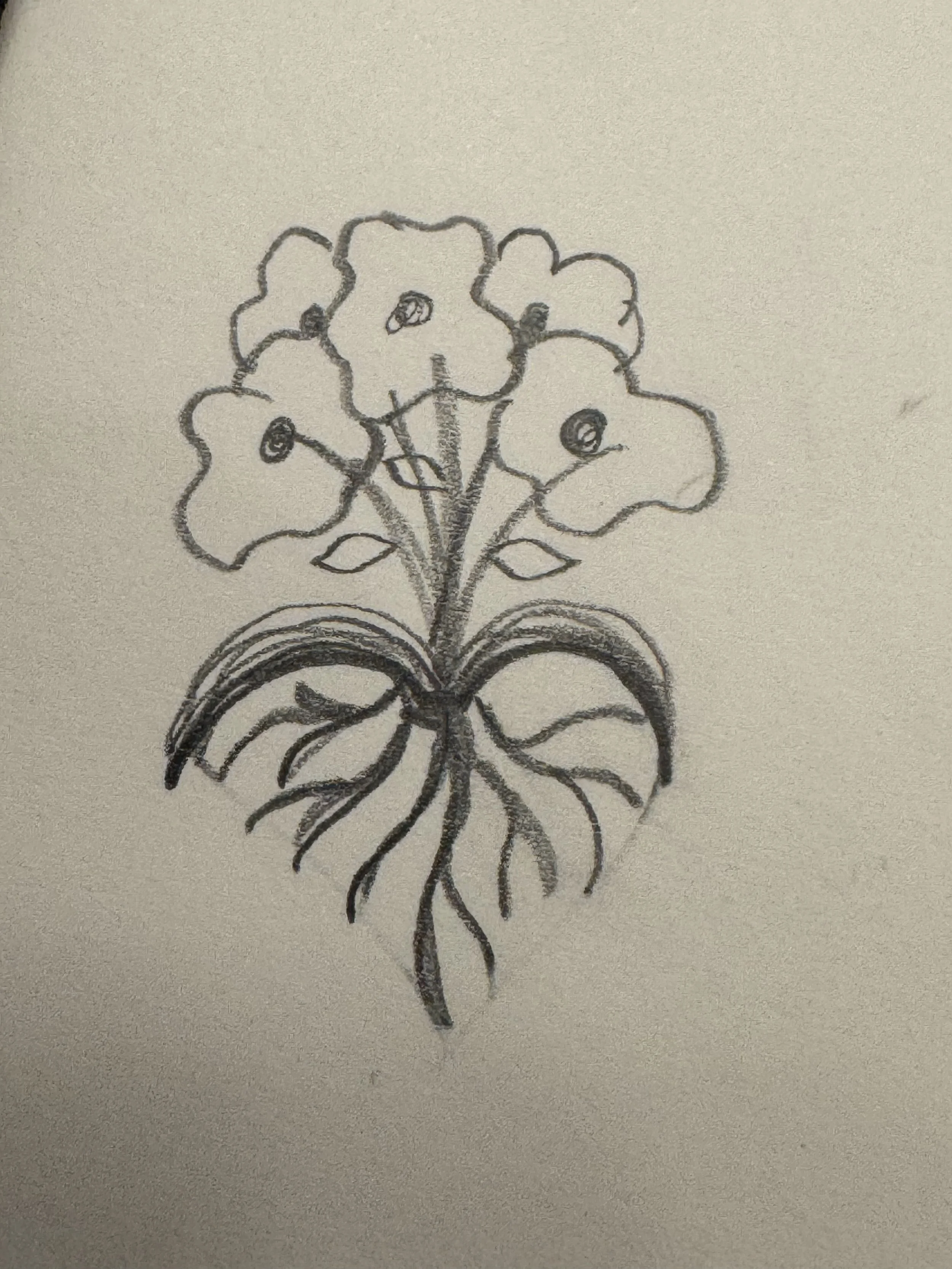 Thumbnail sketch of logo vision. Flowers blooming out of a Bible.