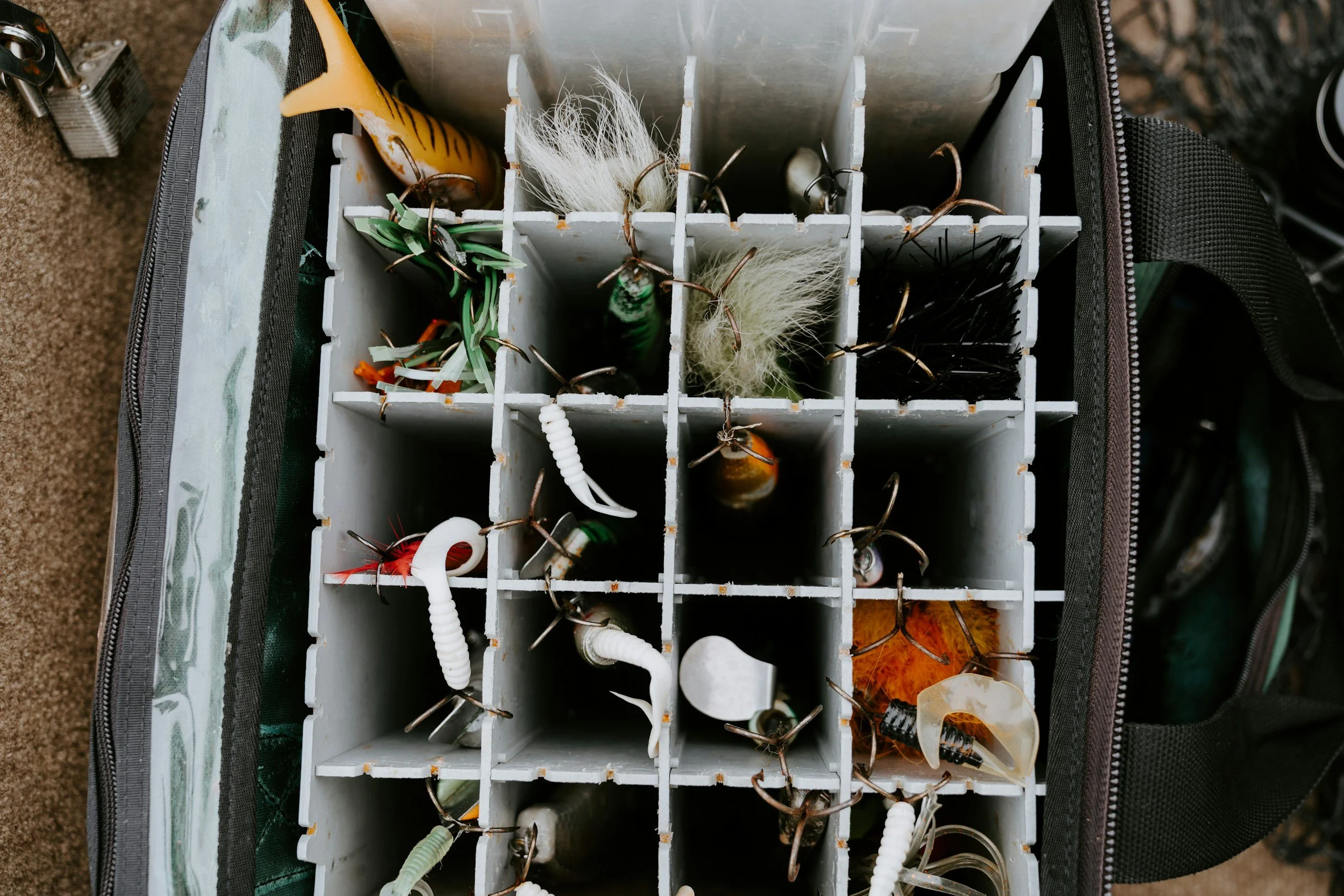 Why Live Bait Size Matters: Maximizing Your Lake Norman Catch