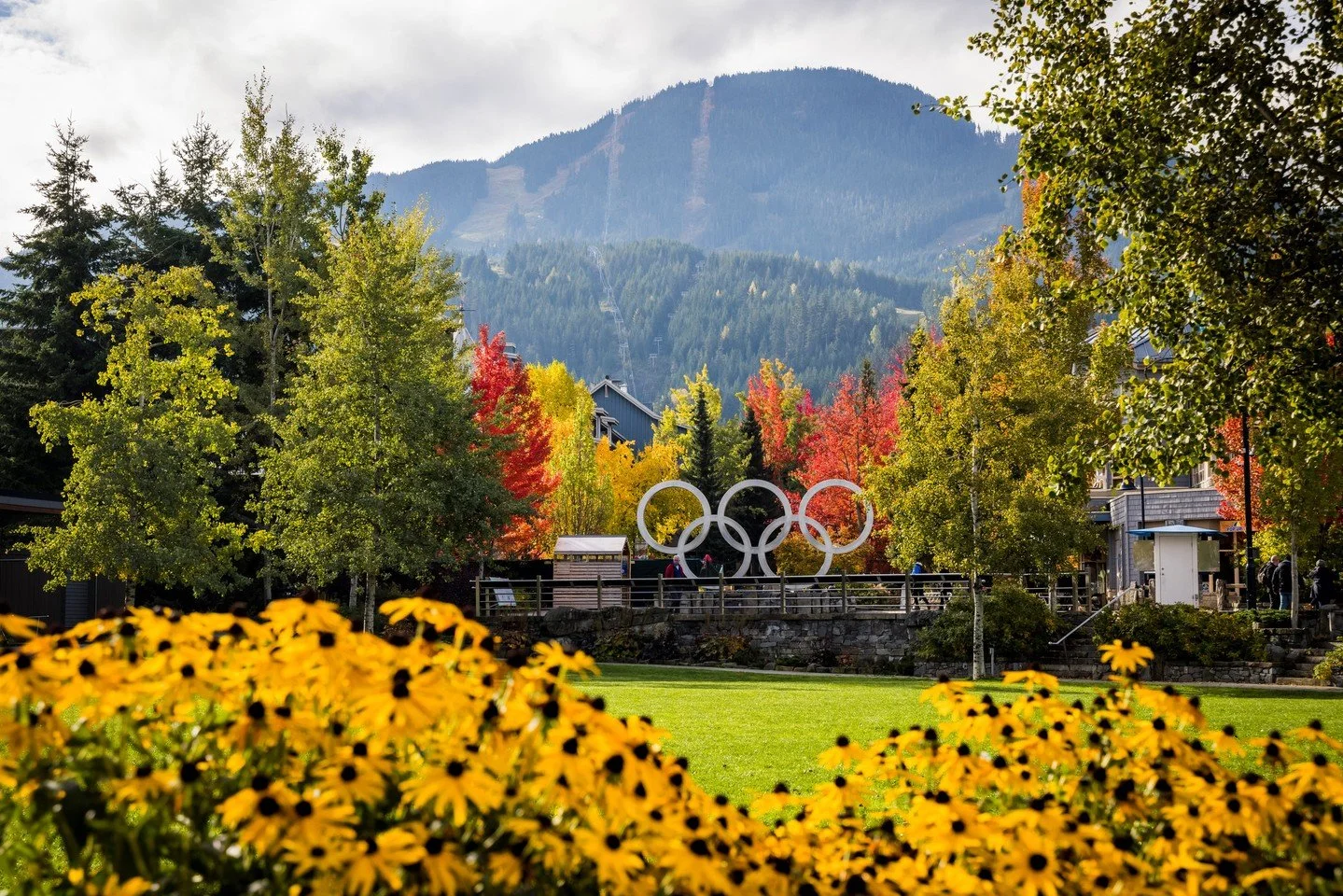 Whistler's Turkey Sale is on! Time to gear up 🏔️🦃⁠
⁠
This is the best time to get sorted for winter. Sales are running through Thanksgiving weekend (Oct 13), so now&rsquo;s the moment to:⁠
⁠
✔️ Pull out last year&rsquo;s gear⁠
✔️ See what still fit