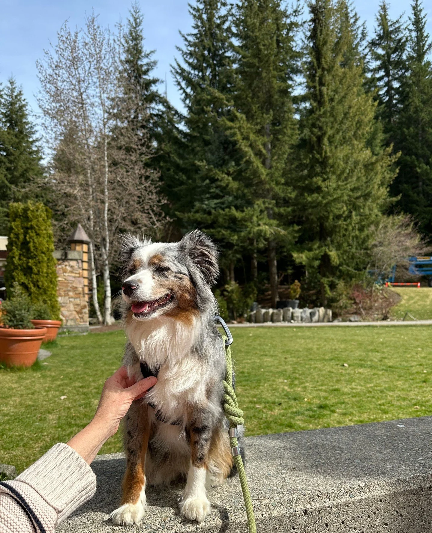 &ldquo;Pet-friendly&rdquo; doesn&rsquo;t always mean what you think it means. 🐾⁠
⁠
This comes up all the time in Whistler.⁠
⁠
Here's what you need to know:⁠
⁠
🔹 Strata bylaws vs. actual enforcement⁠
Just because a building allows pets on paper does
