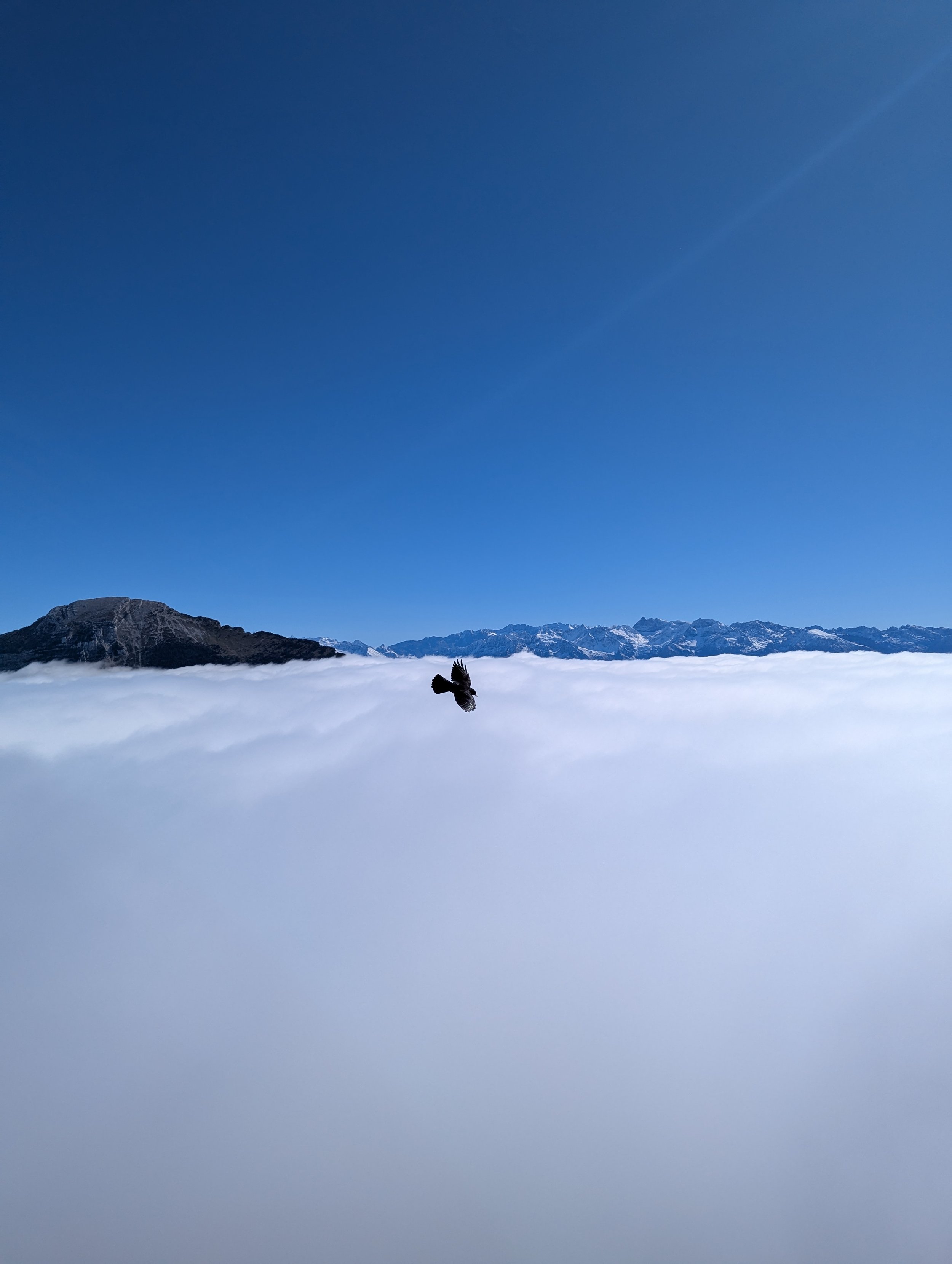108 Hours In Grenoble