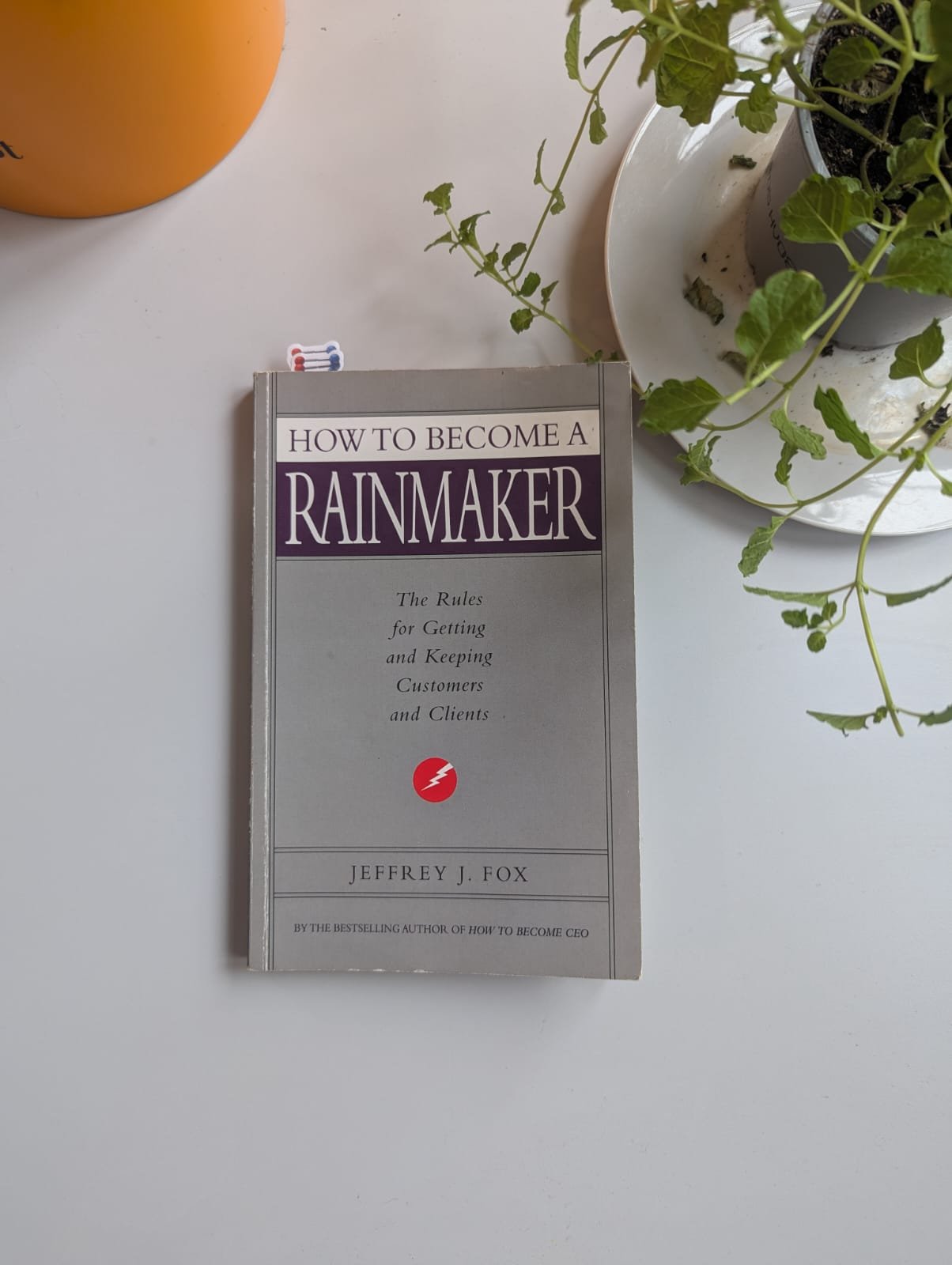 Book Summary: How To Become A Rainmaker