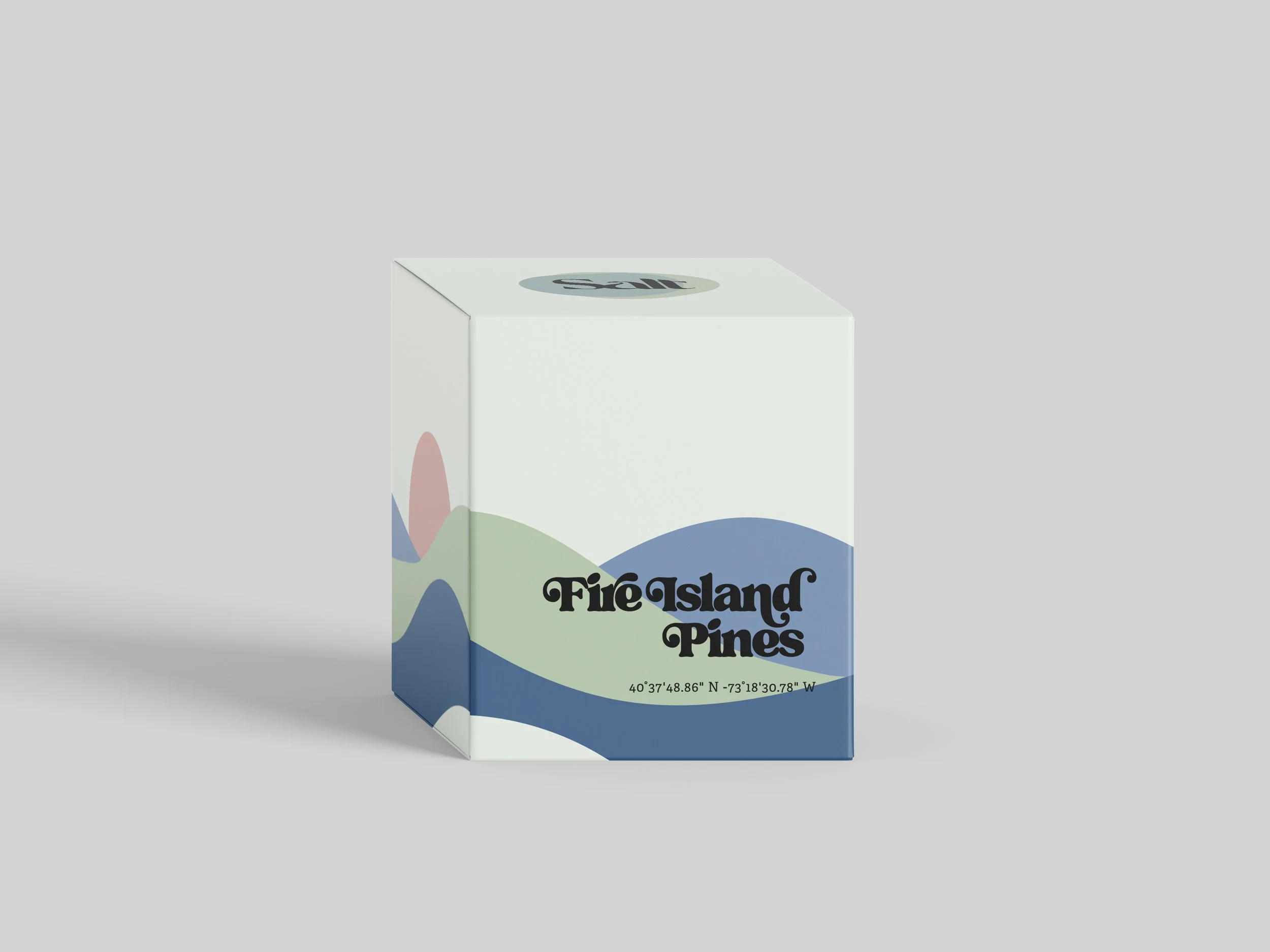 Fire Island Pines.jpg