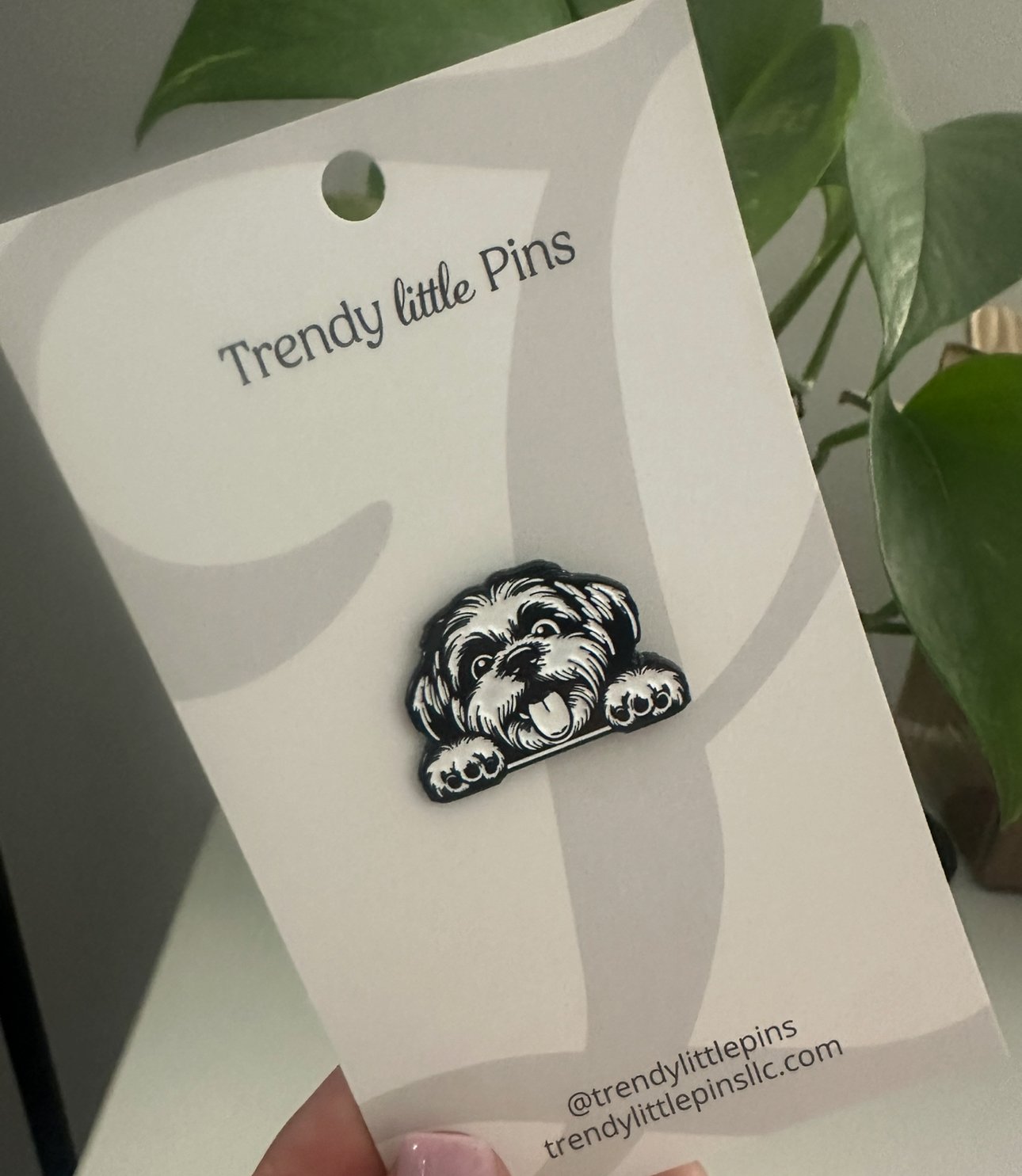Shih Tzu Pin
