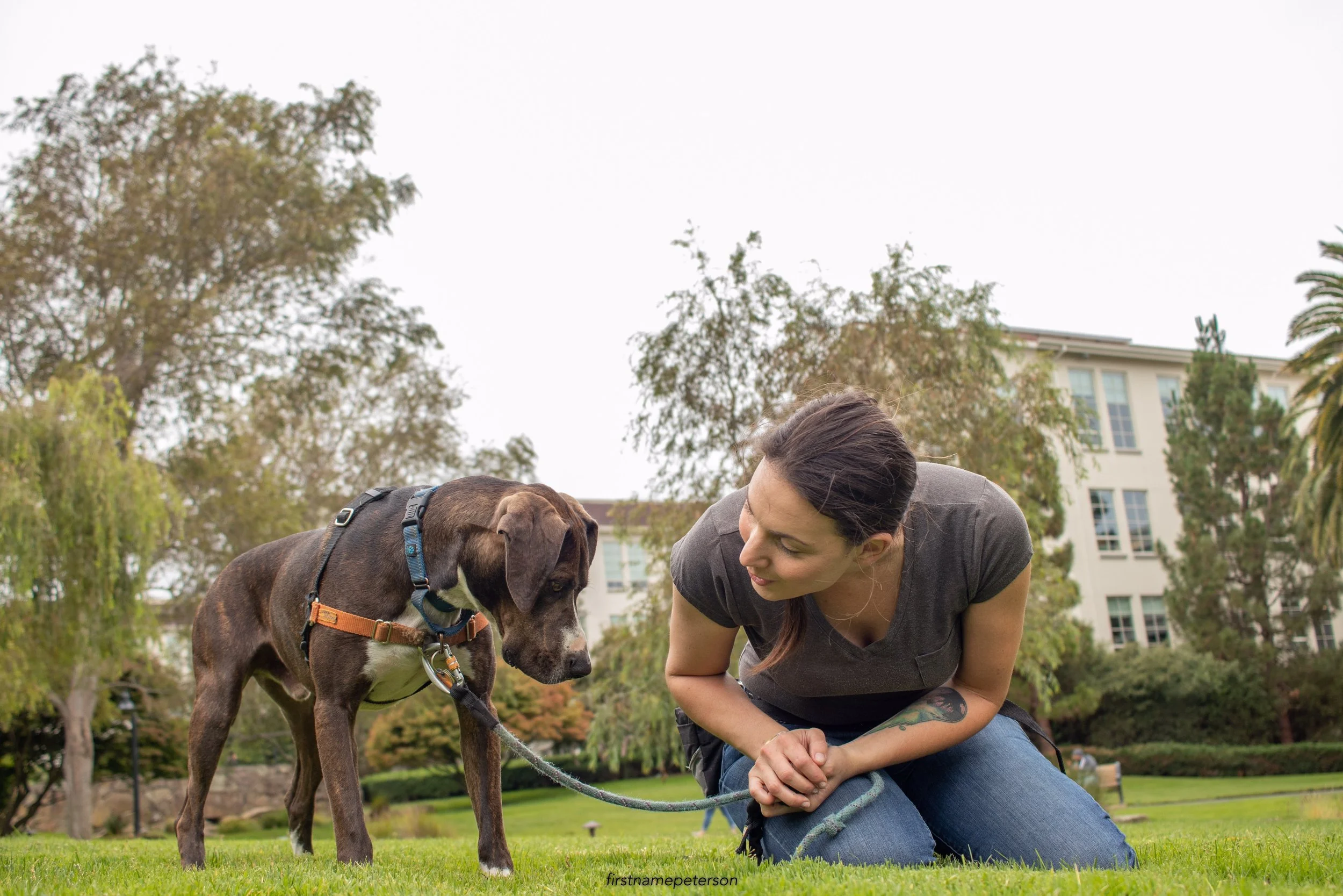 Angie hanging out with another one of her favorite clients, Jalapeño, back in San Francisco.