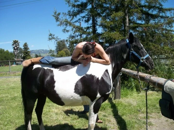 Adult Angie attempting to mount without saddle, the black and white paint, Tiki. 