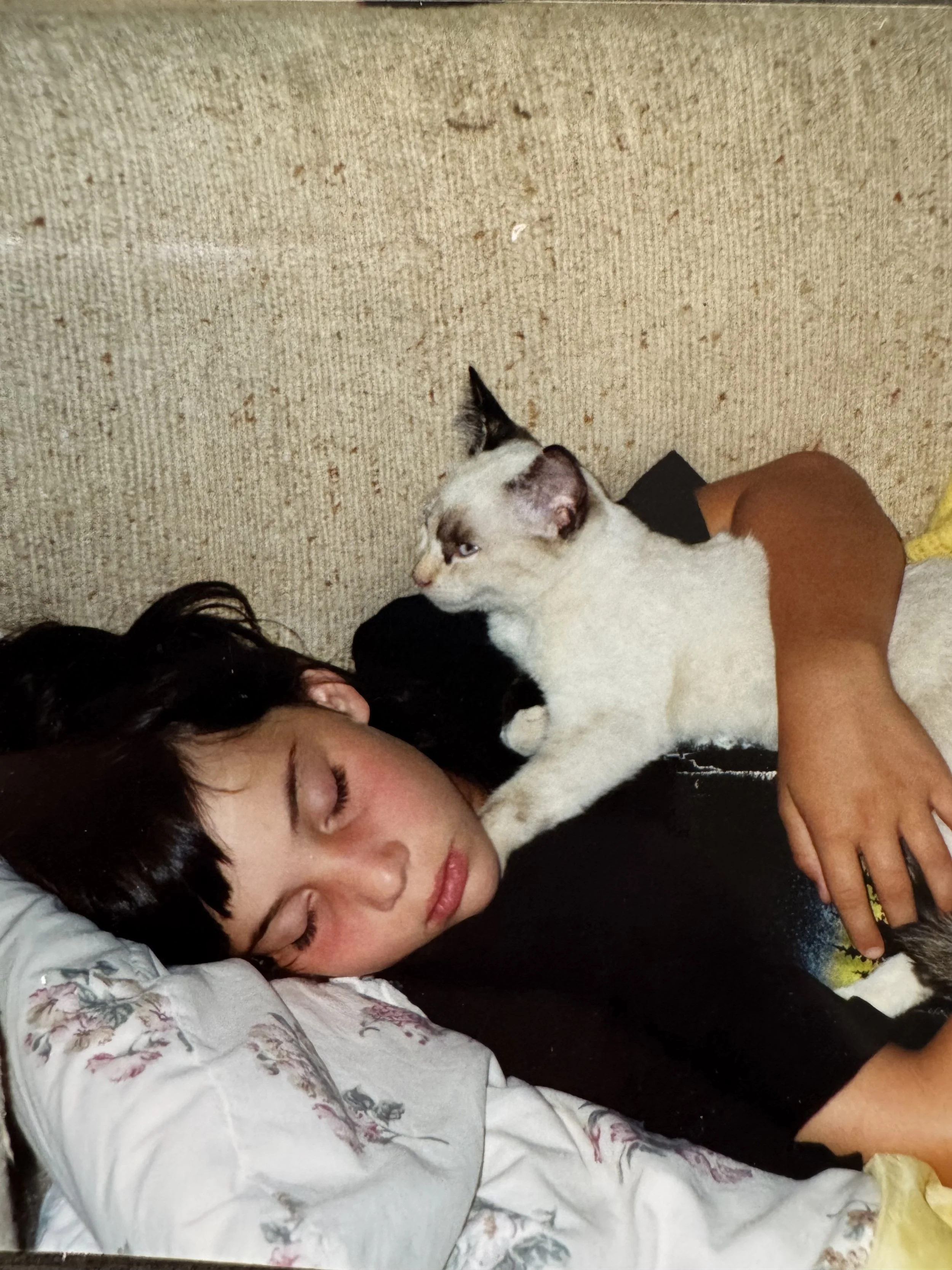 Sleeping Angie with a kitten