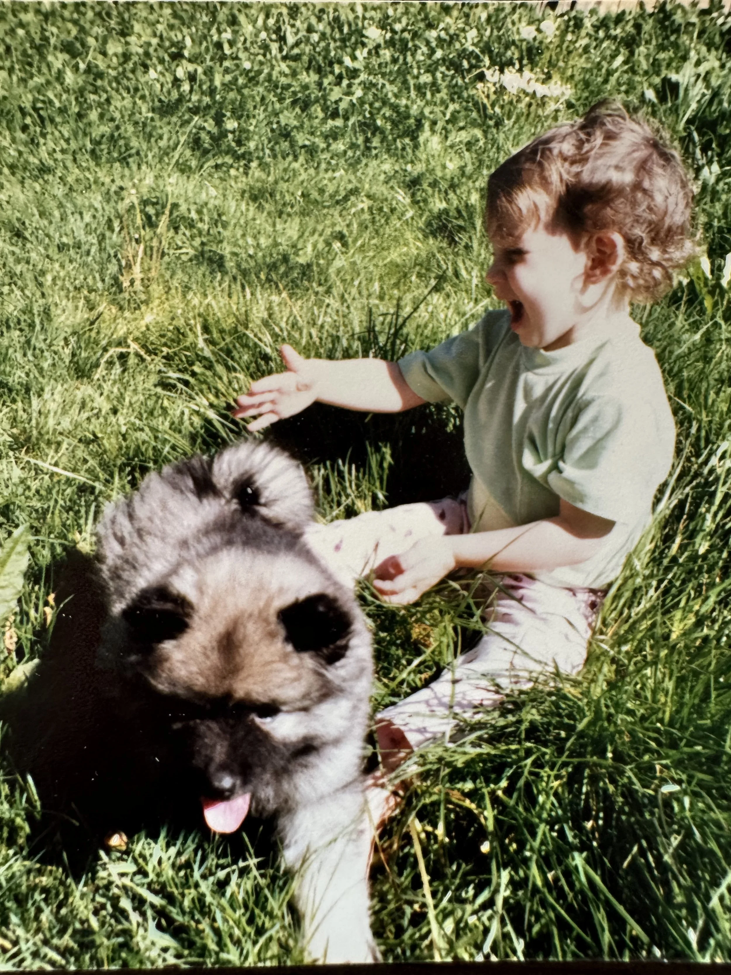 Baby Angie with a Keeshond