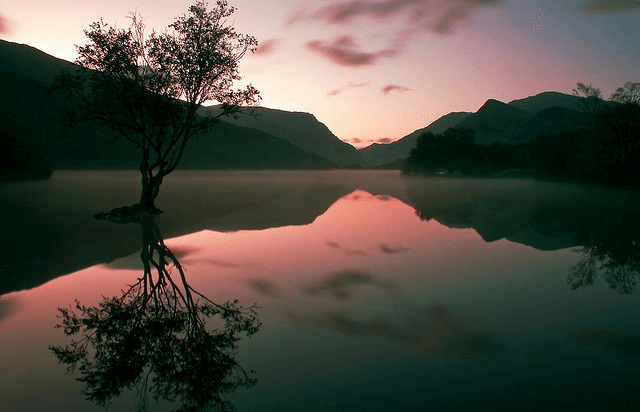 A peaceful lake surrounded by mountains at sunset, with a solitary tree reflected in the water.