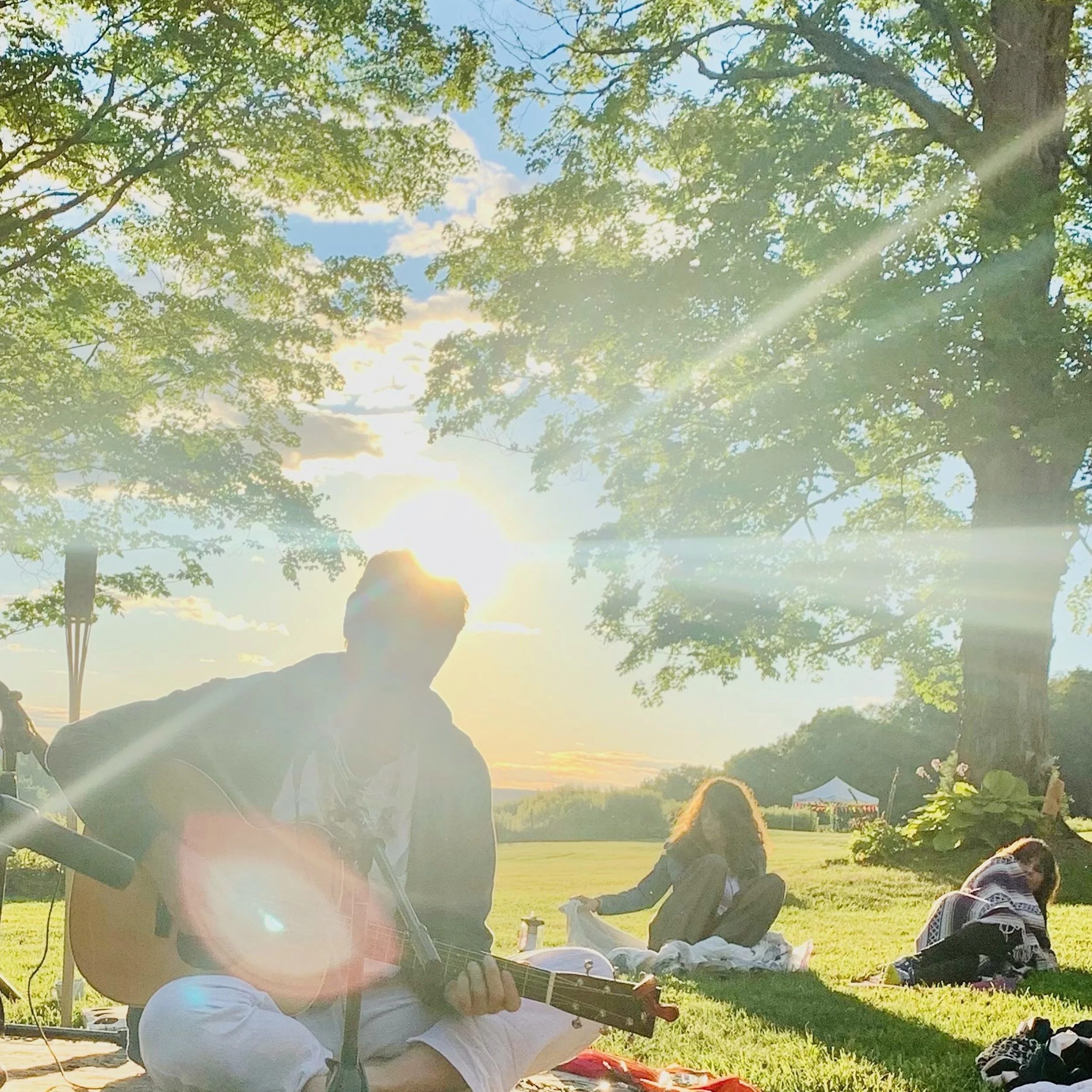 Kingston Farmers Market