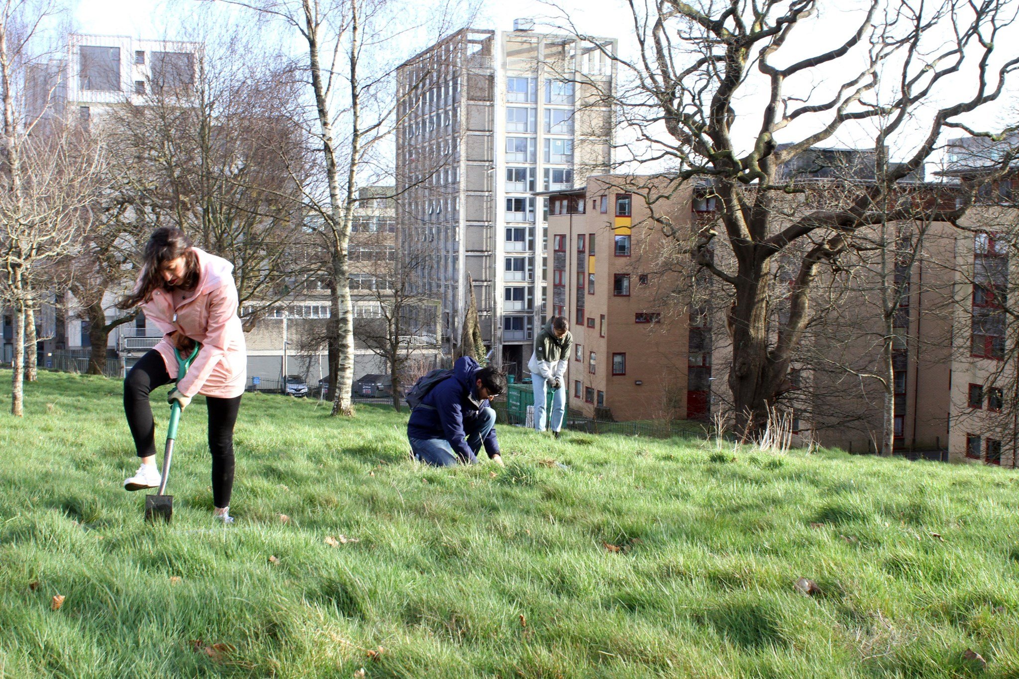 three students tree planting in singleton park with the buildings and large trees in the background
