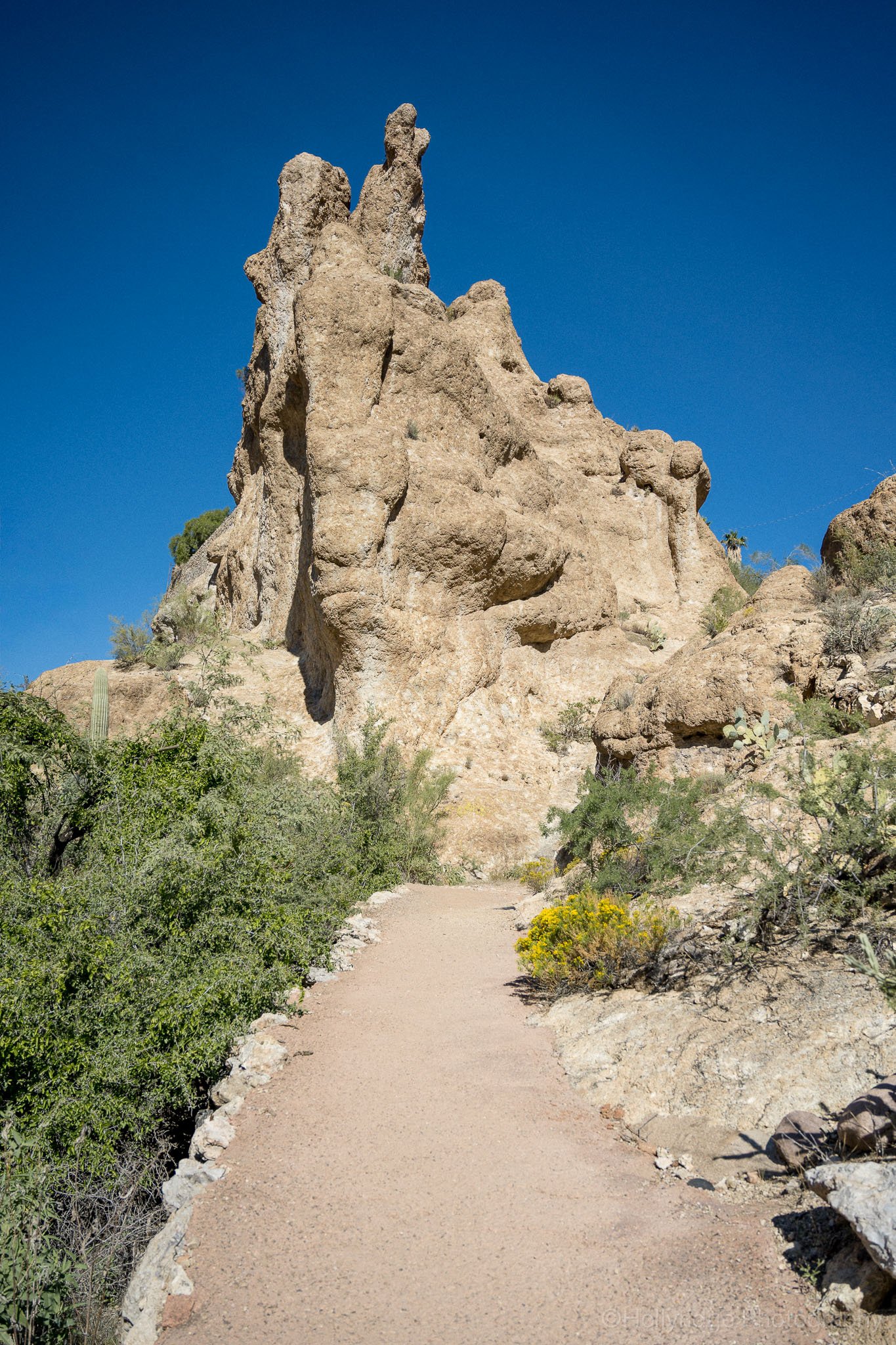 Desert hiking trail leading toward a tall rock formation at Boyce Thompson Arboretum in Superior Arizona under a clear blue sky.
