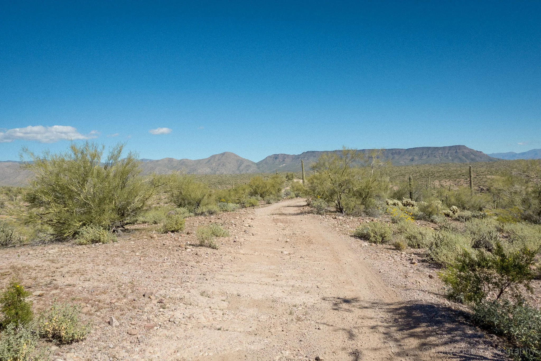 Dirt road winding through Sonoran Desert landscape near French Creek Road north of Lake Pleasant, Arizona with mountains in the distance.