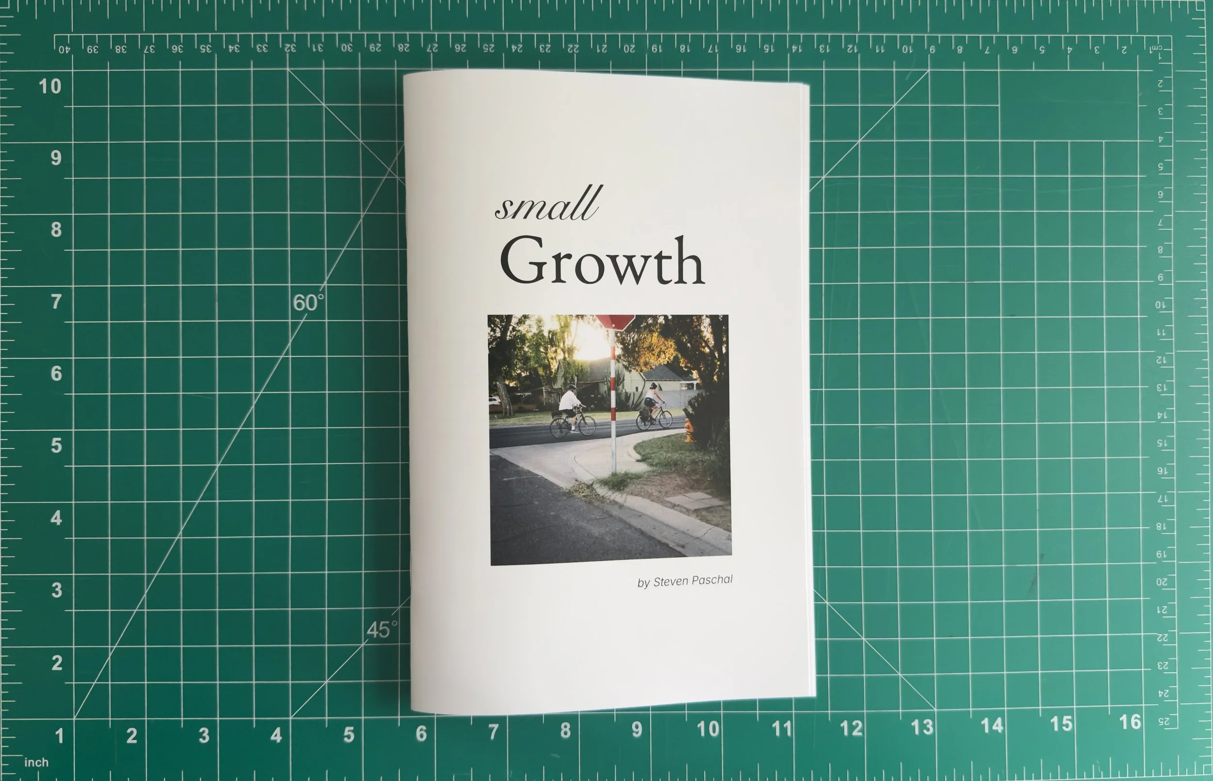 Small Growth [Digital Edition]