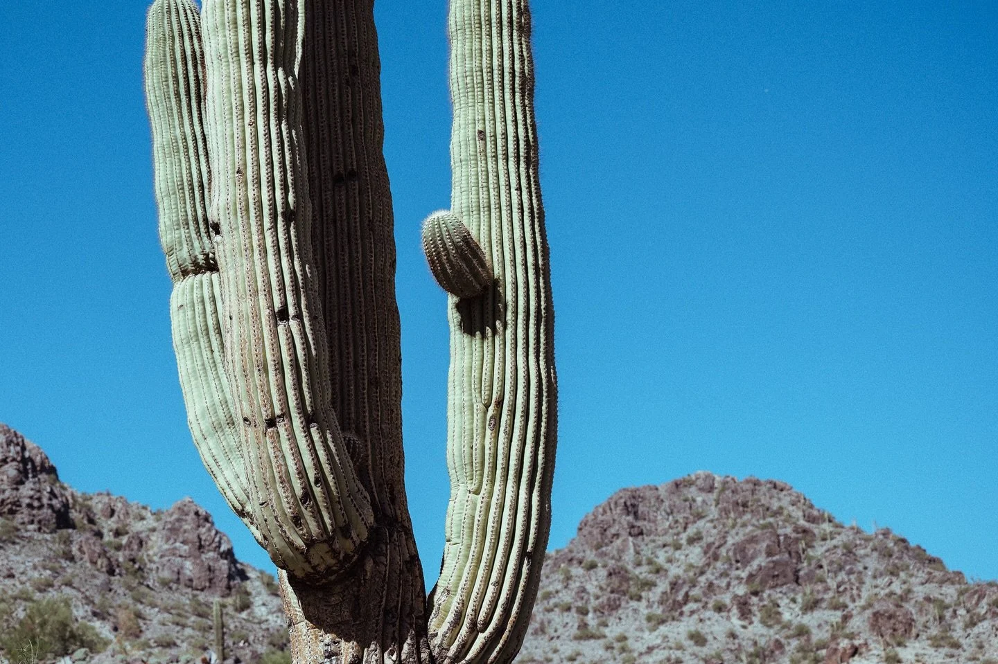✨We&rsquo;re still here ✨ The weather is finally getting nice in Phoenix and we&rsquo;re ready for hikes, camping, and landscape photography.